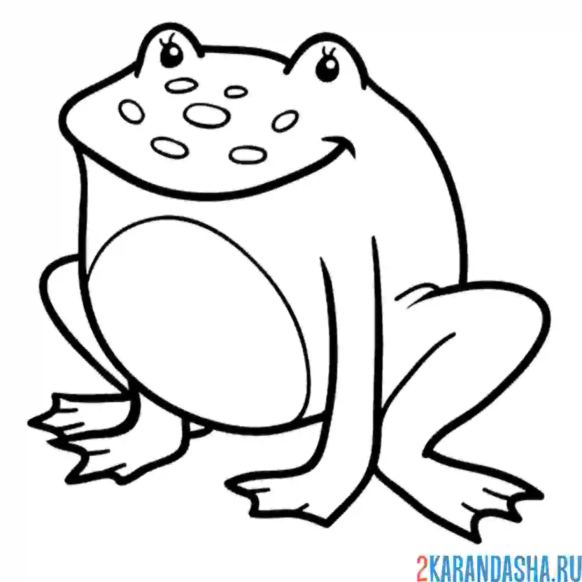 Раскраска лягушка сидит