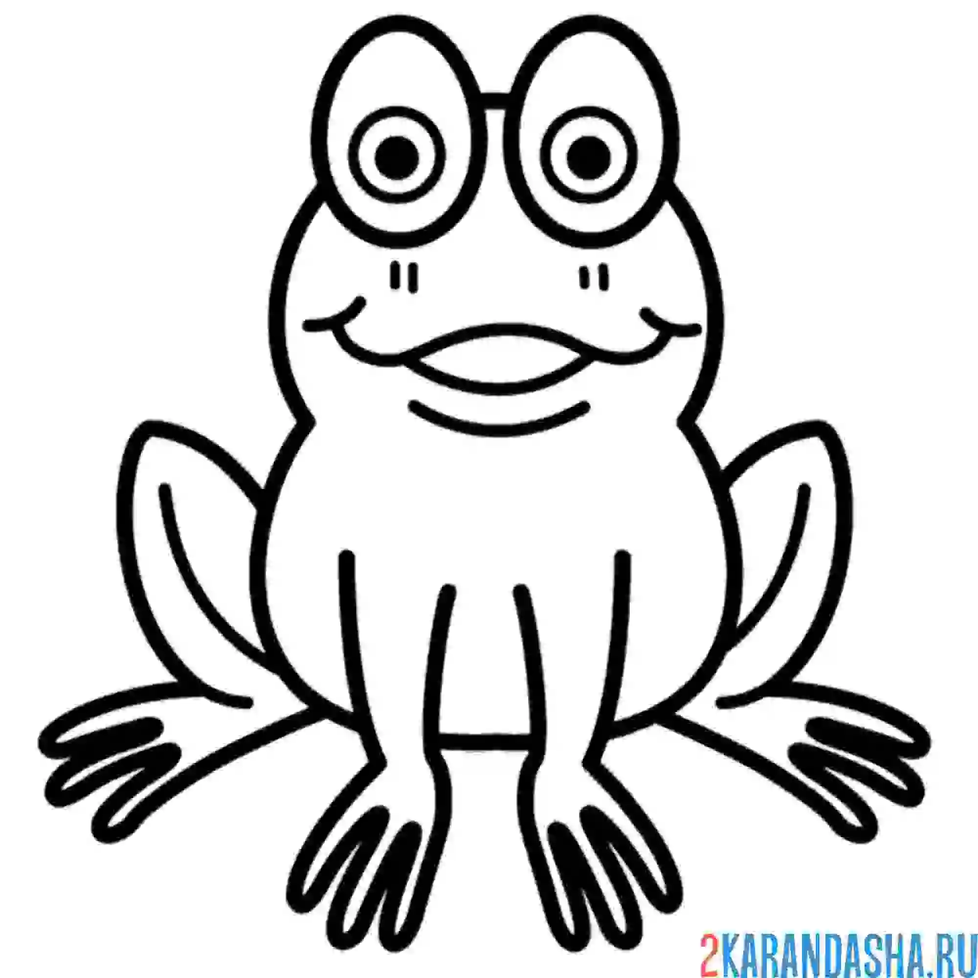 Раскраска лягушка смотрит