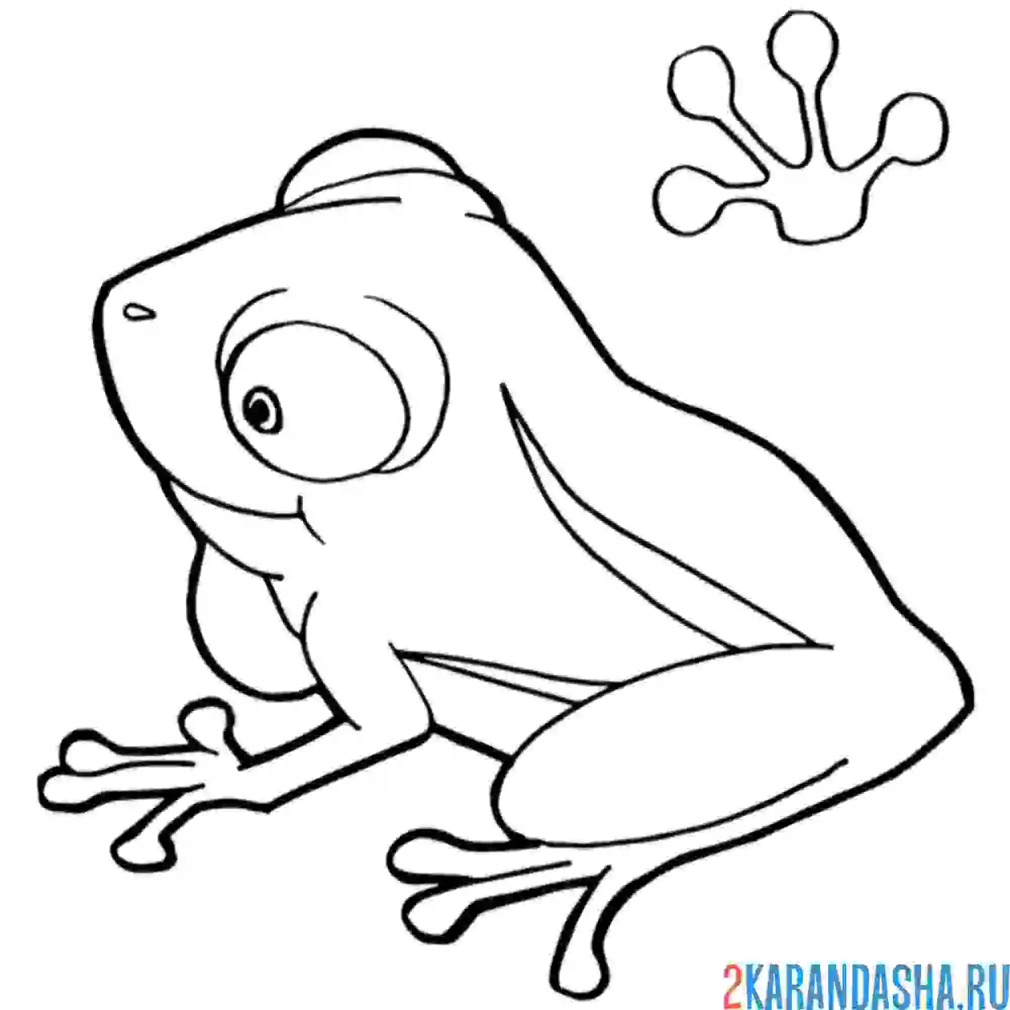 Раскраска лягушка задумалась