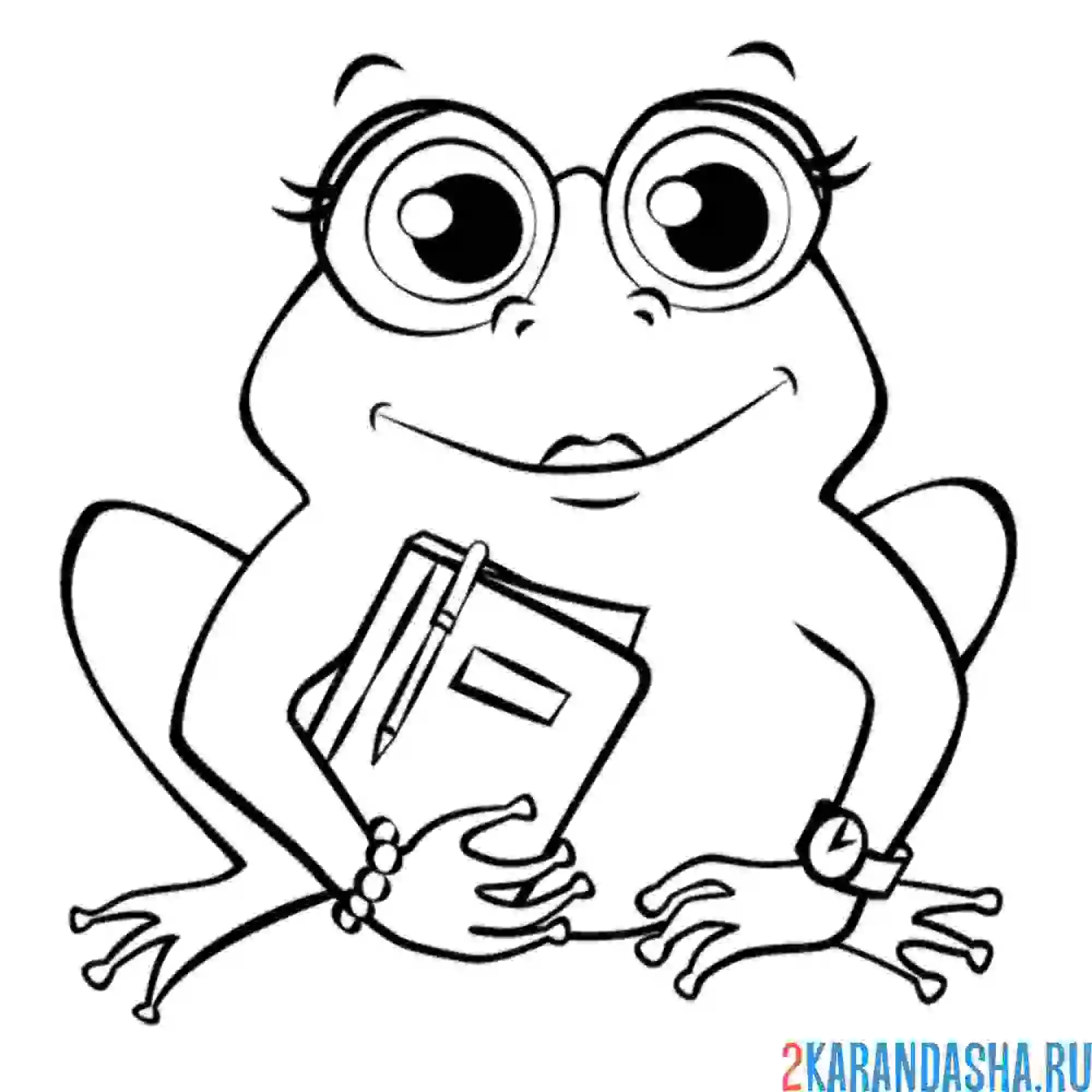 Раскраска деловая лягушка