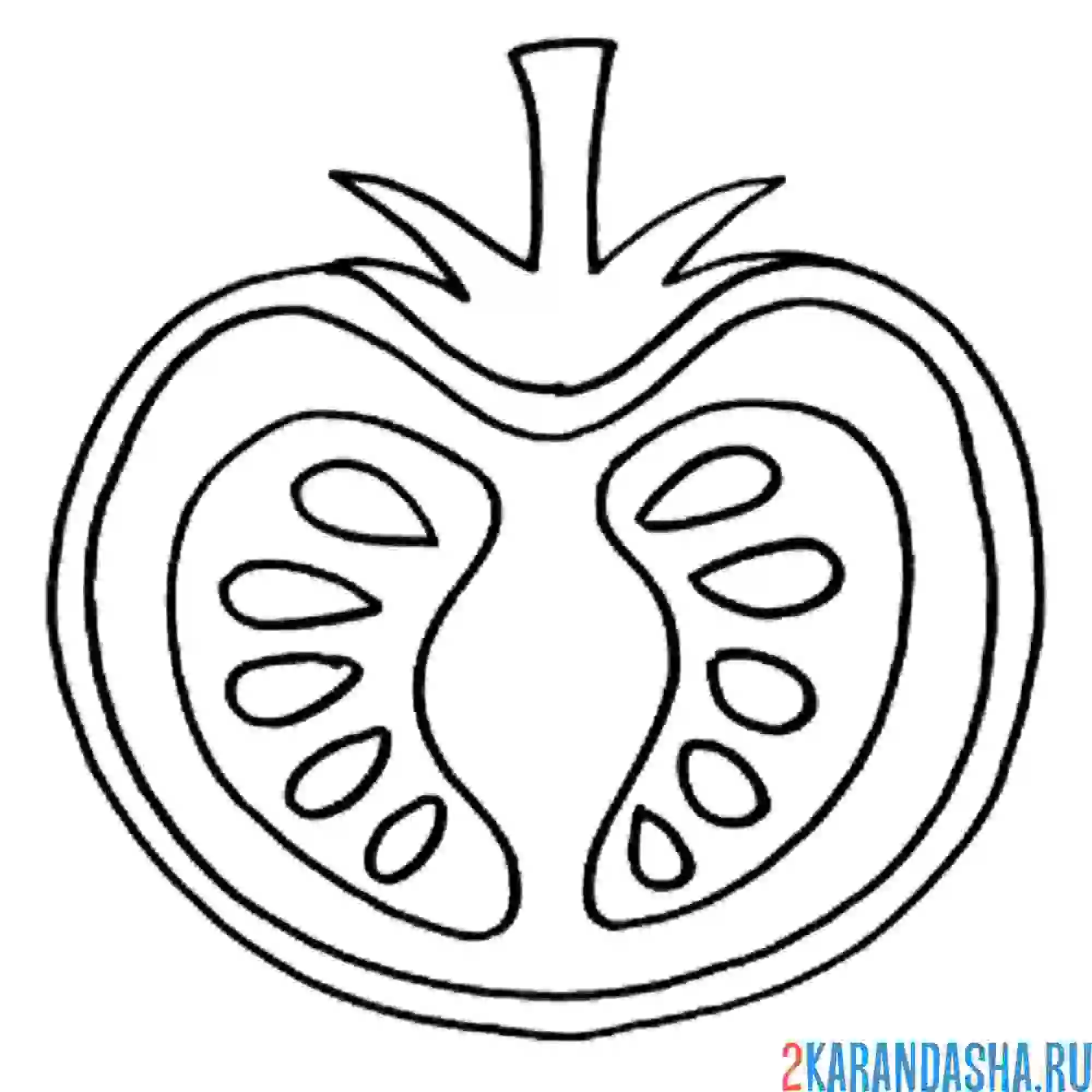 Раскраска половинка помидора