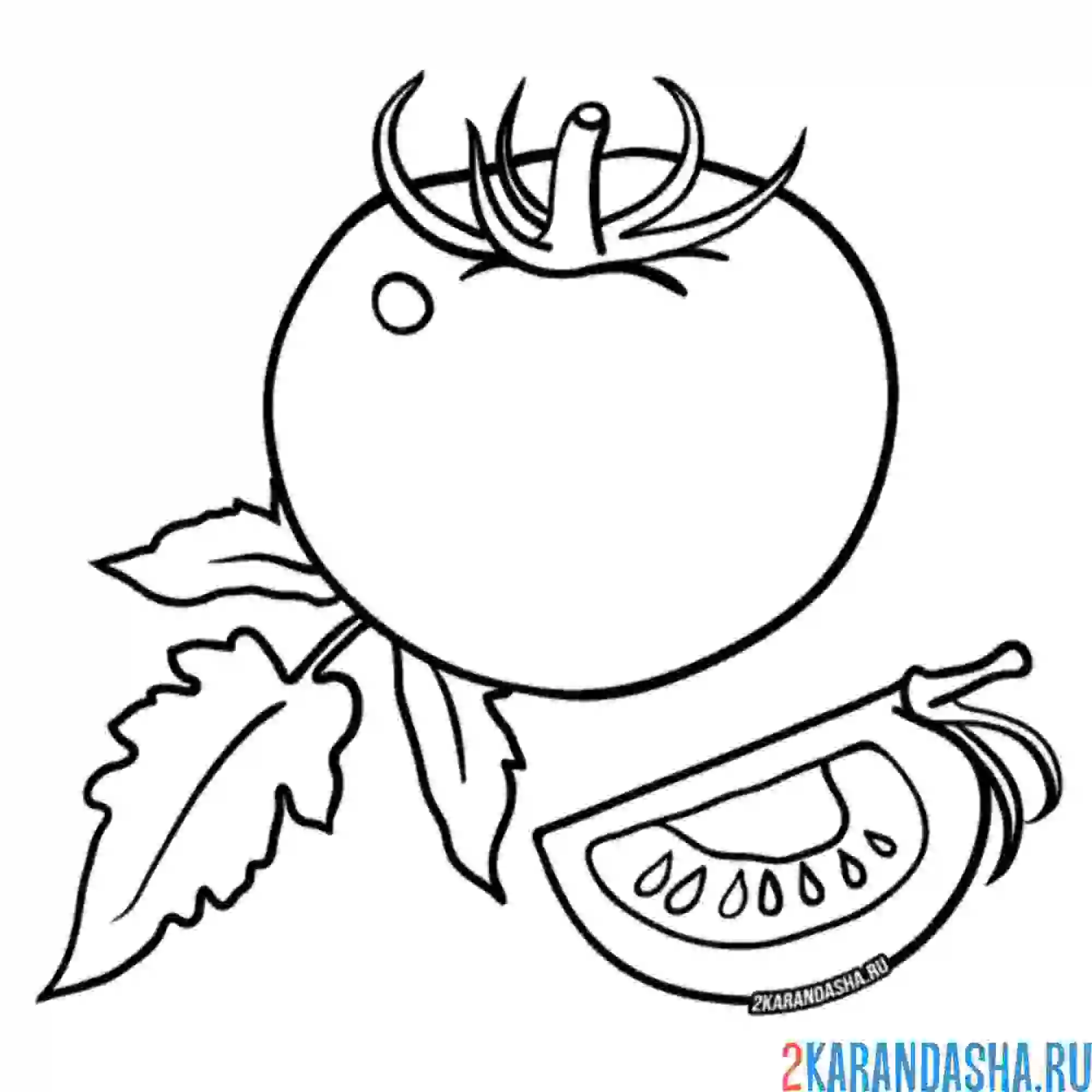 Раскраска помидор и кусочек