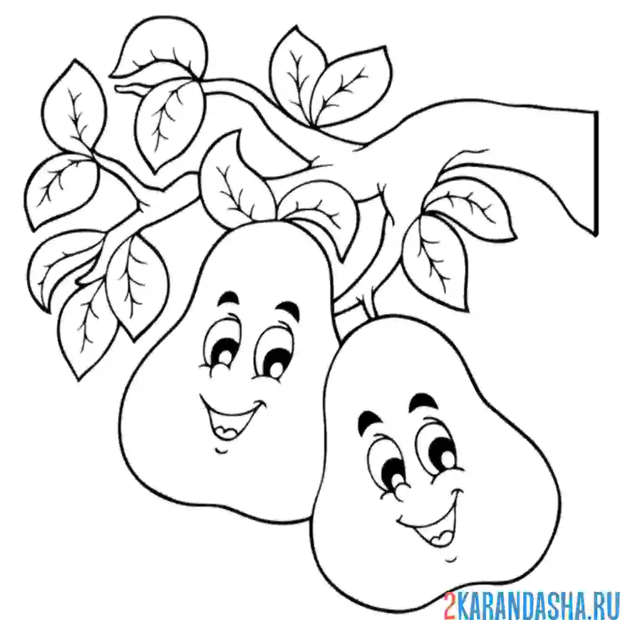 Раскраска две груши на ветке друзья