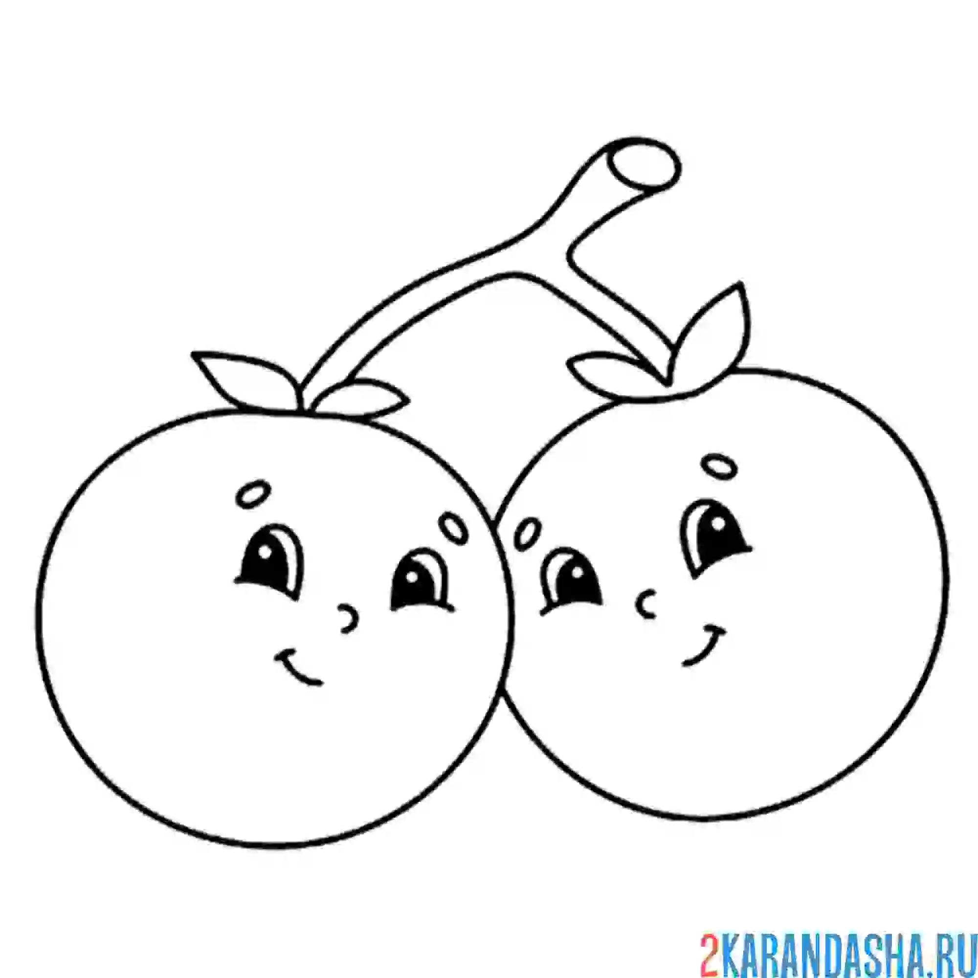 Раскраска две помидоры на ветке