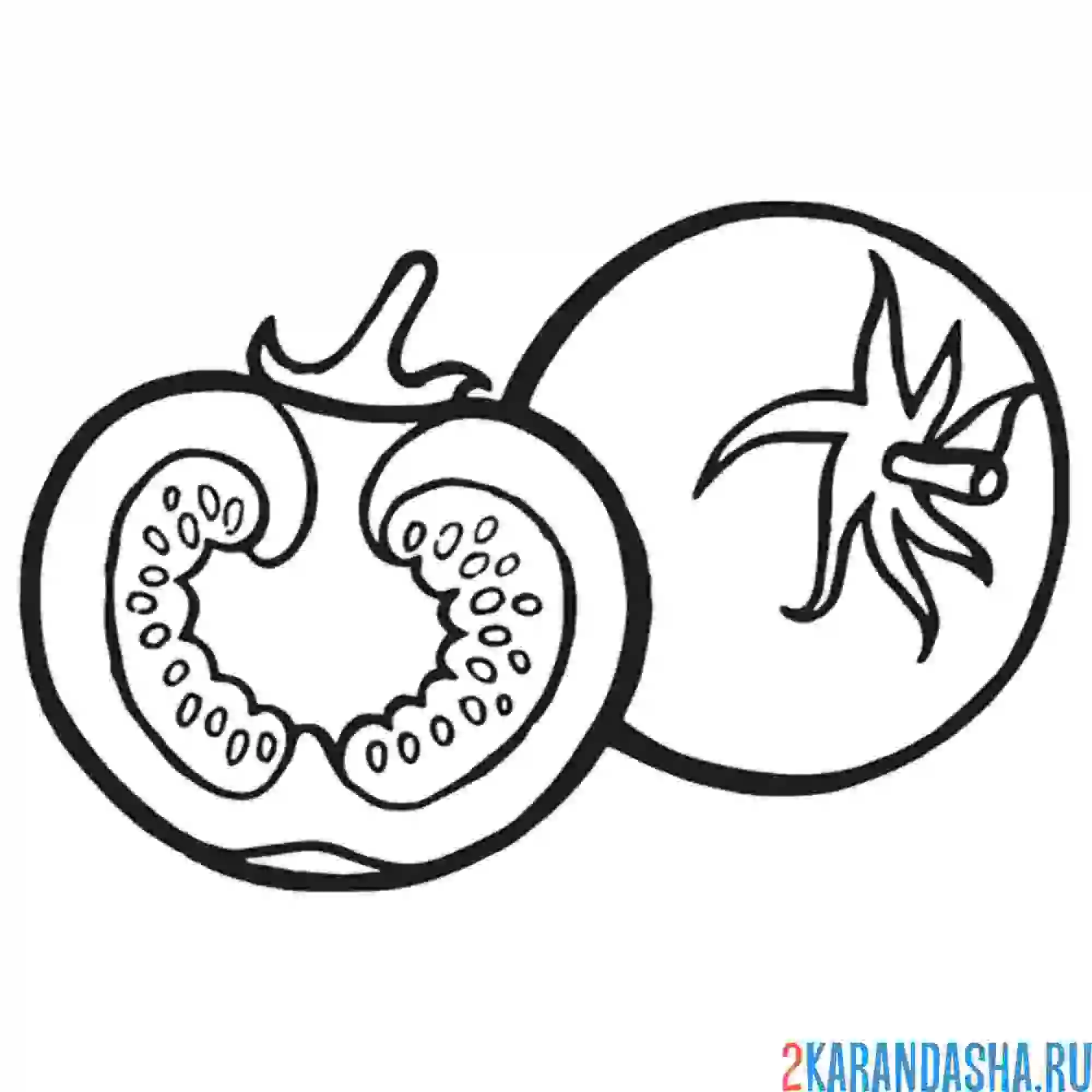 Раскраска помидор целый и половинка