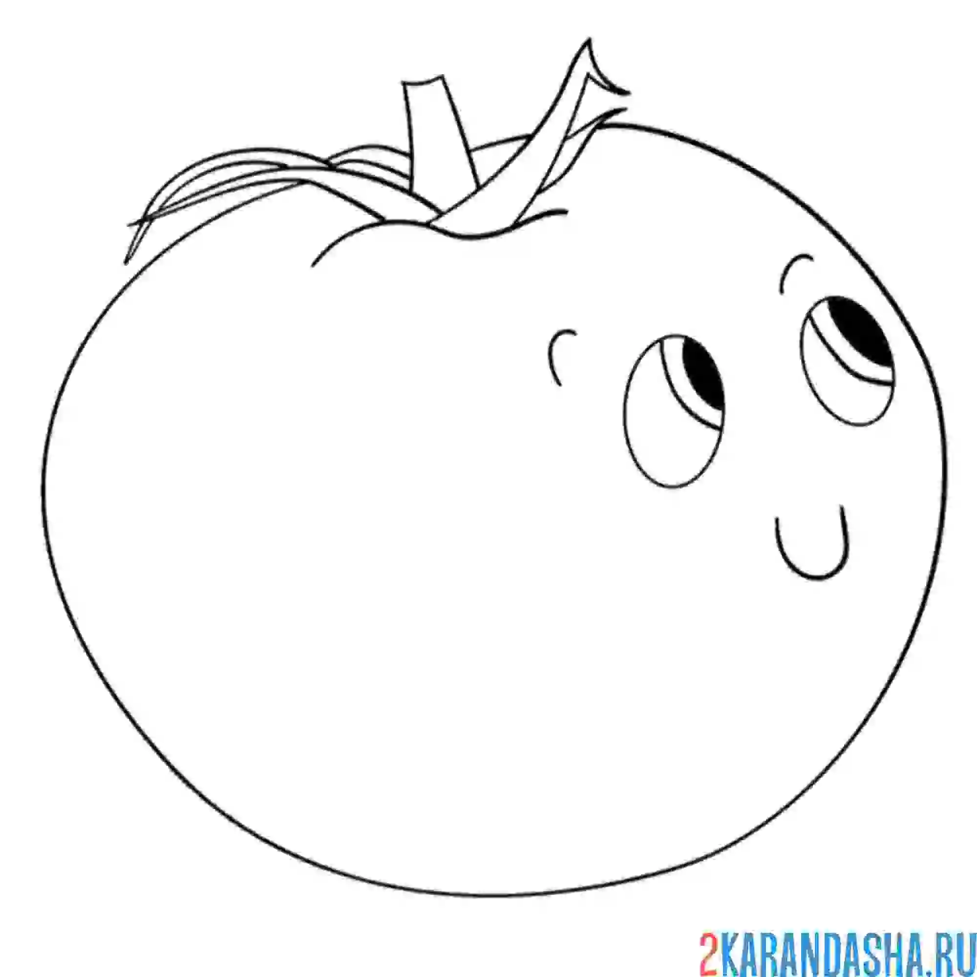 Раскраска помидор смотрит