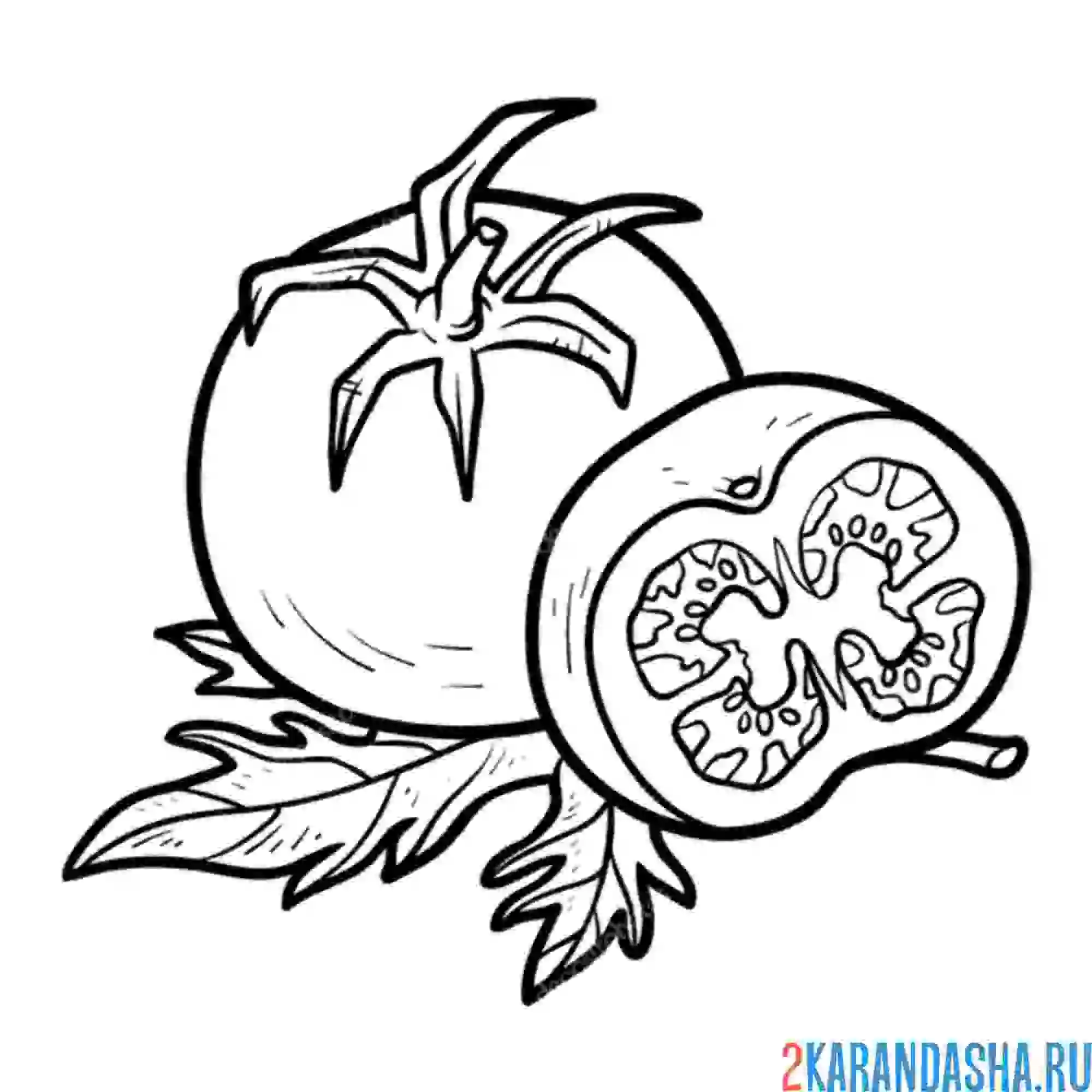 Раскраска помидор спелый