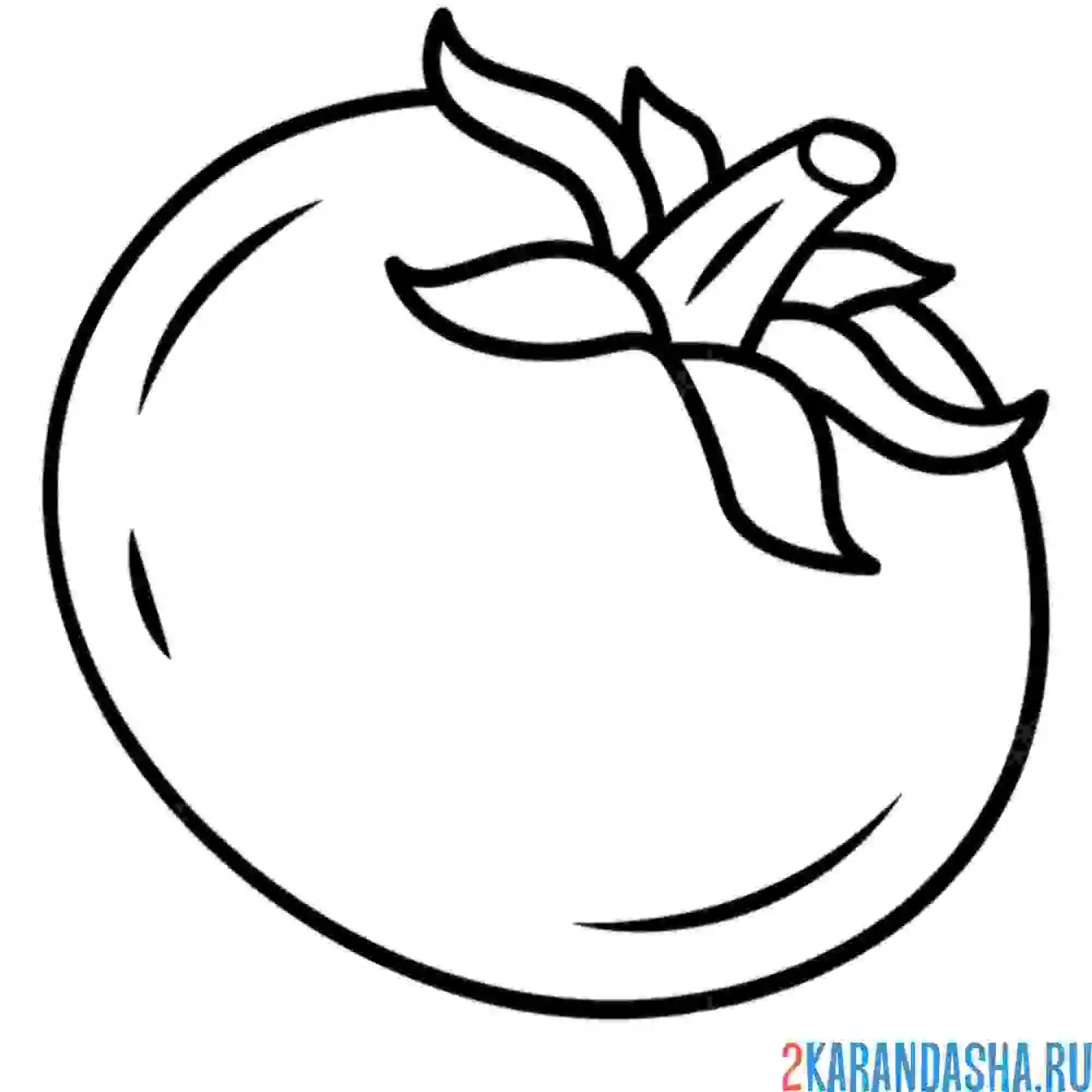 Раскраска целый спелый томат