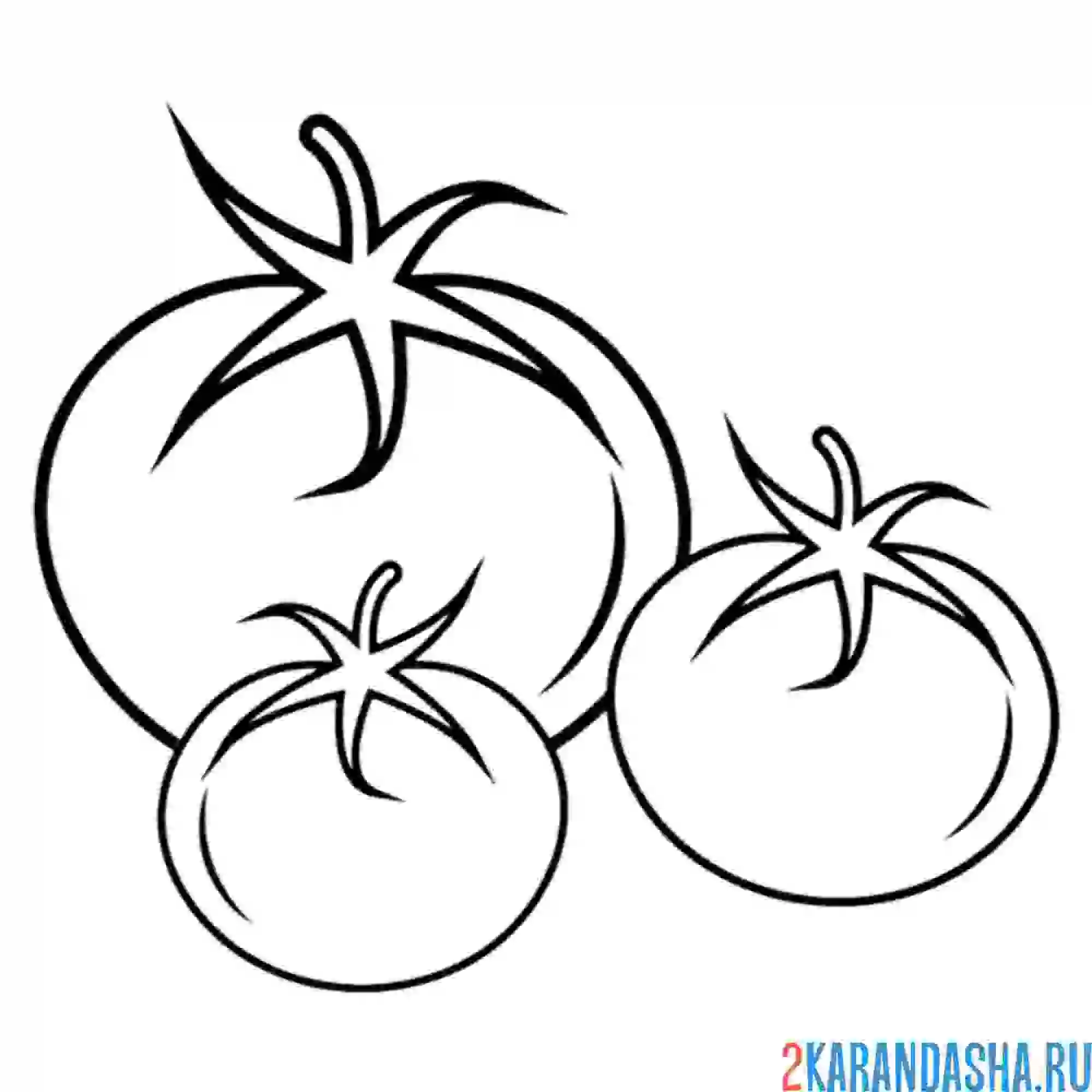Раскраска три томата