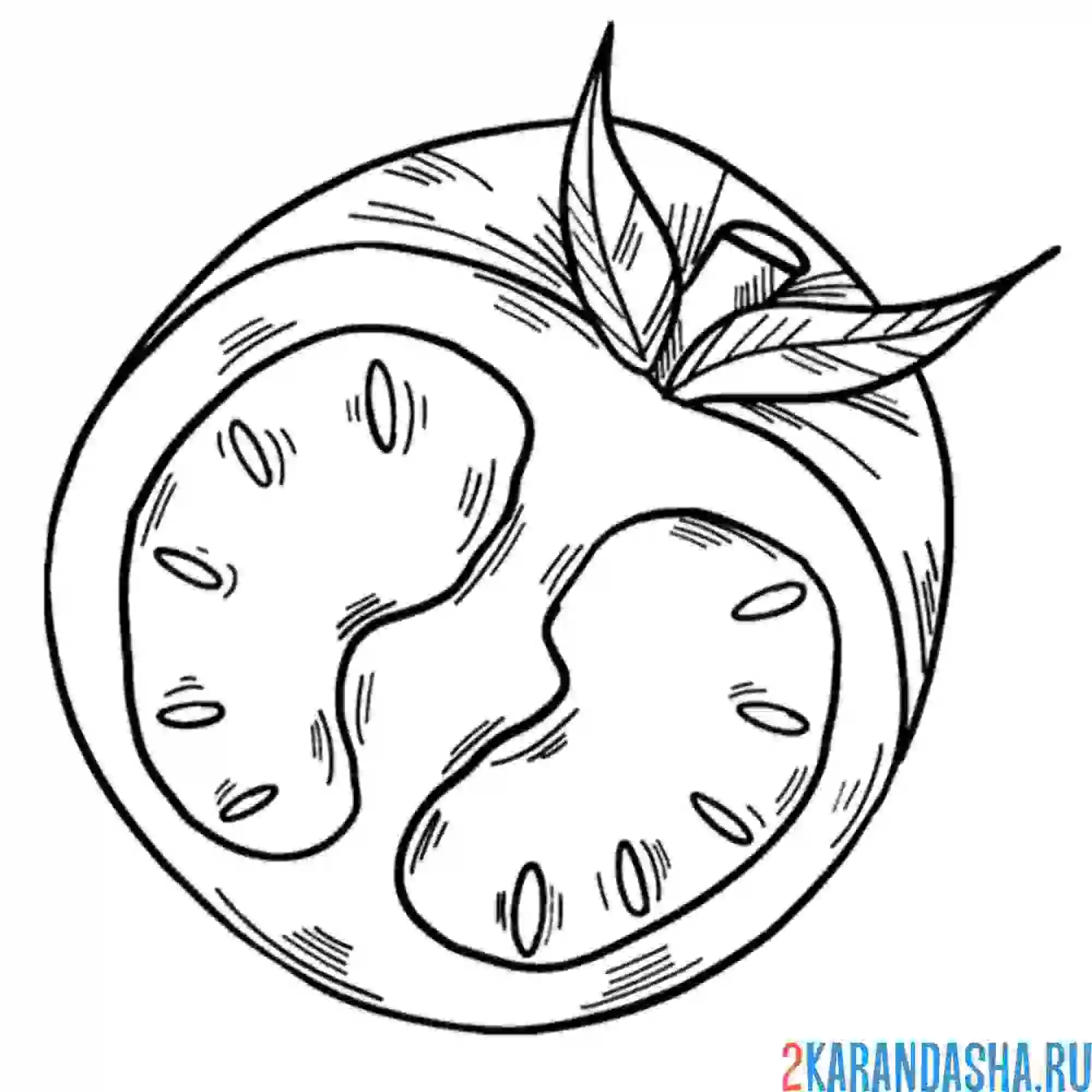 Раскраска помидор в разрезе