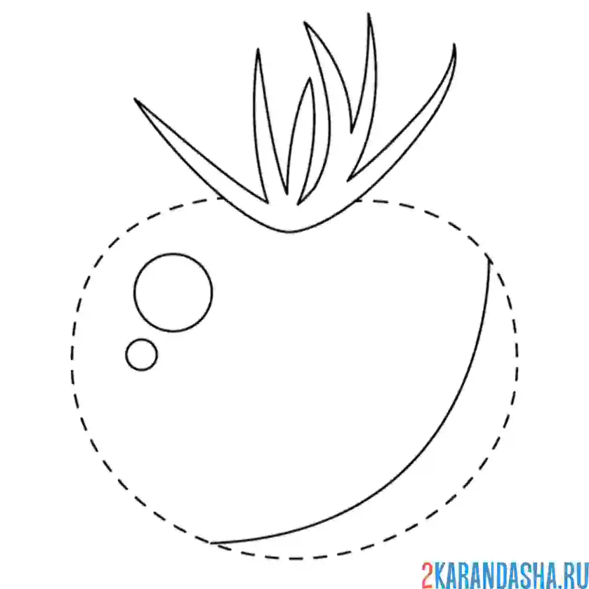 Раскраска обведи томат по линии