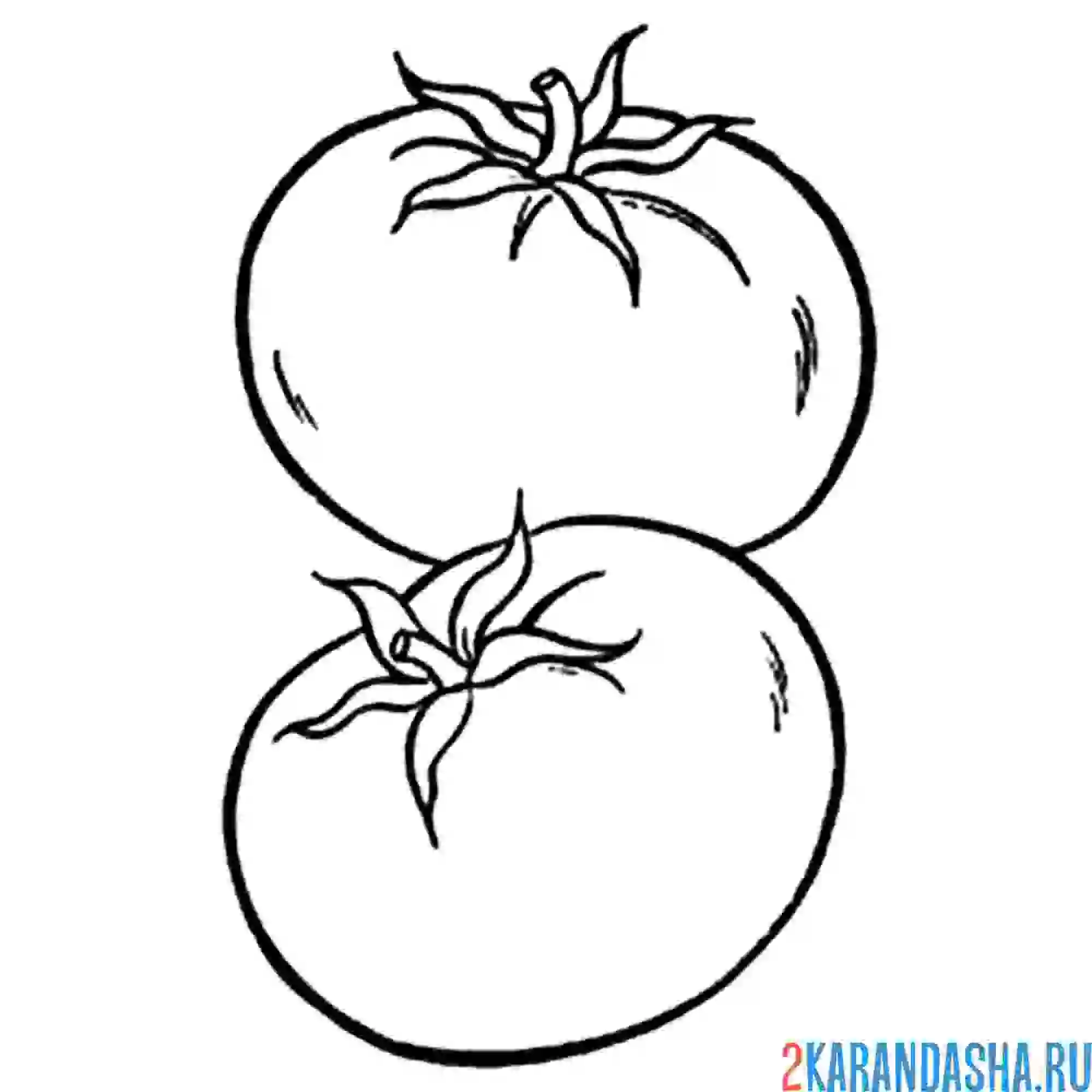 Раскраска два томата (помидора)