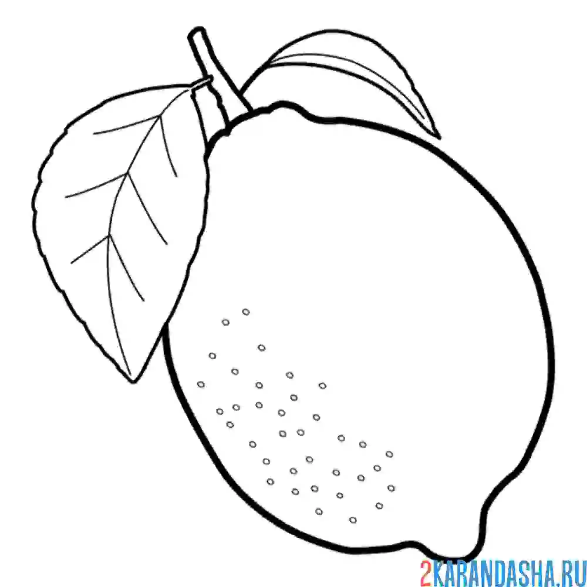 Раскраска лимон с листочками