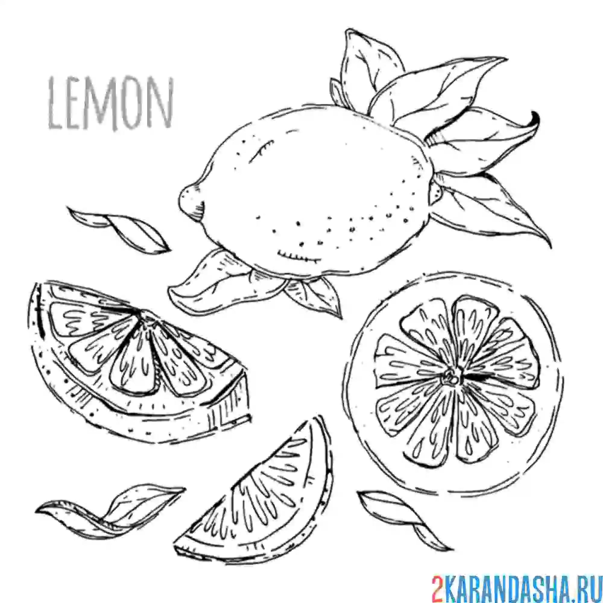Раскраска лимон картинка