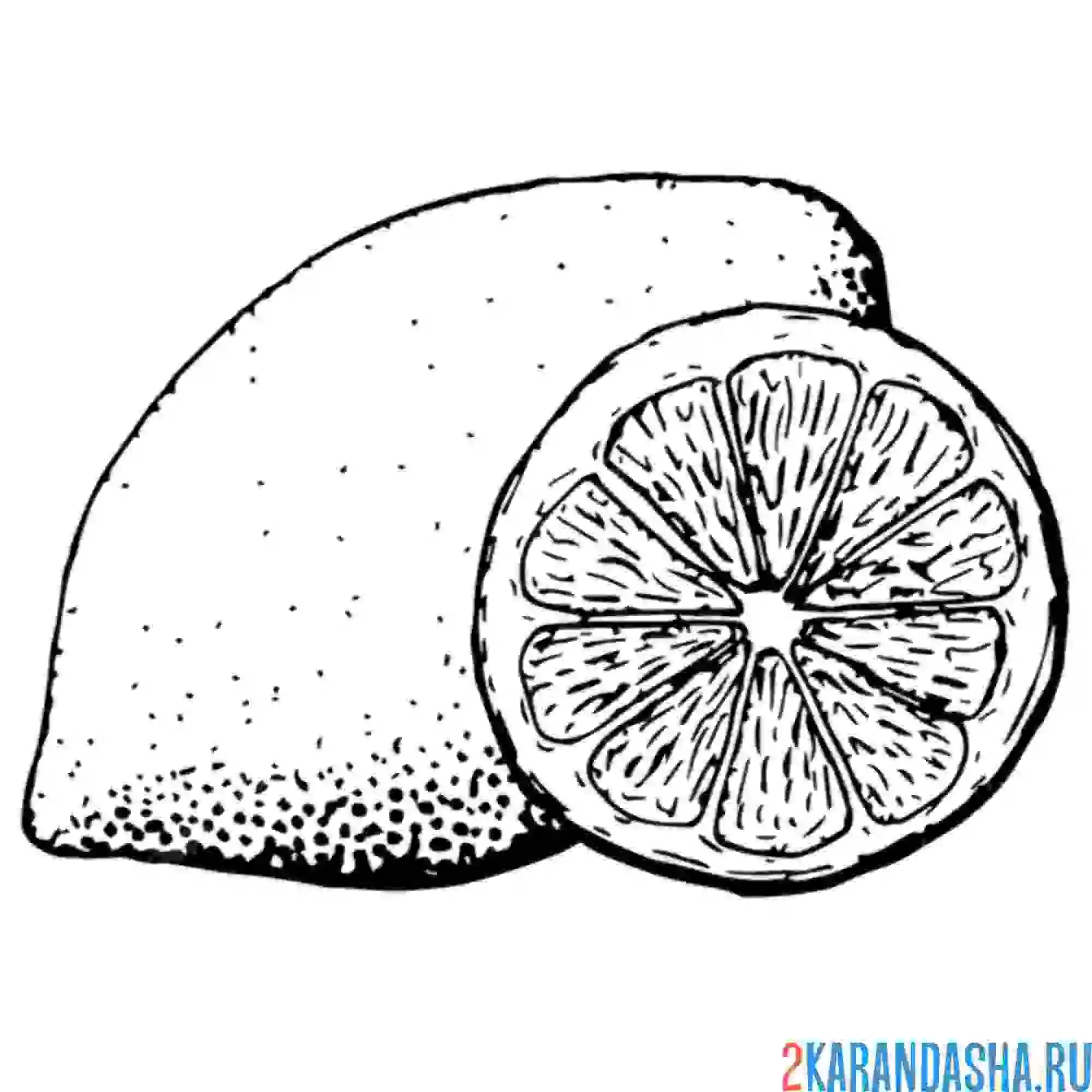 Раскраска настоящий лимон