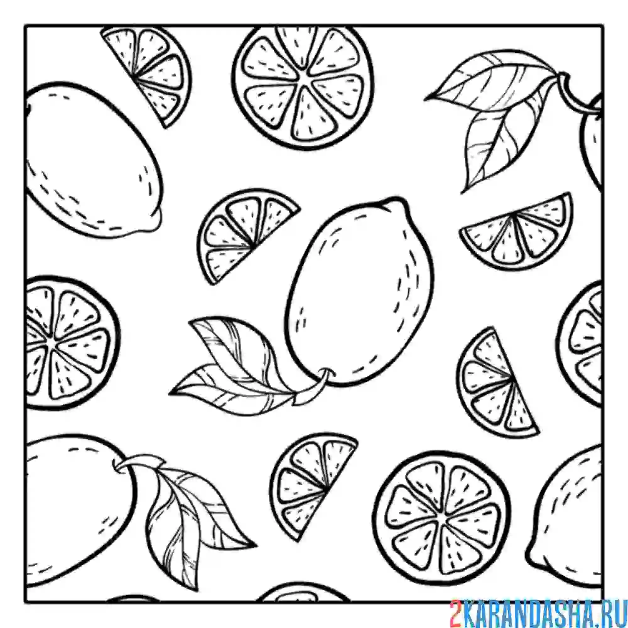 Раскраска лимонный рай