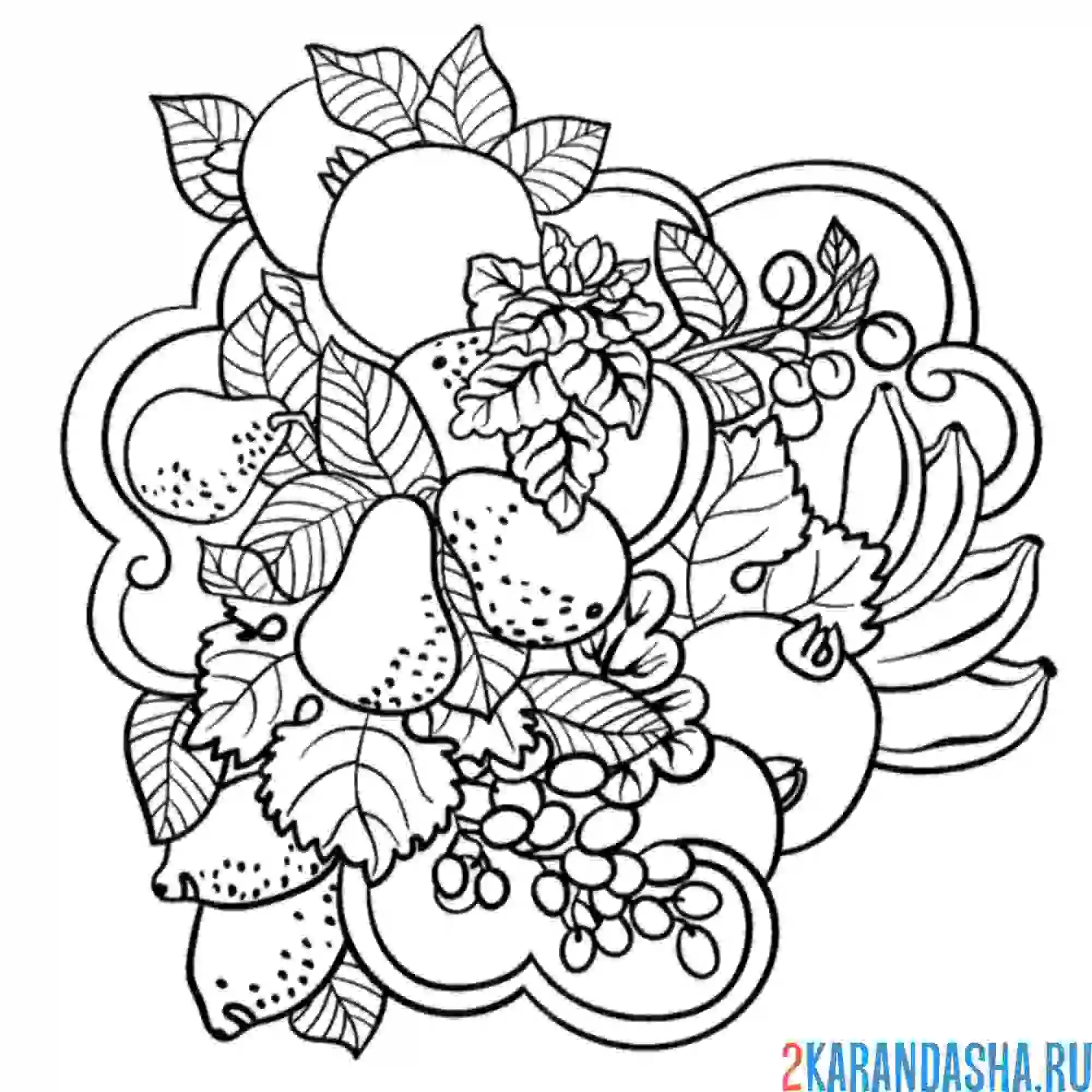 Раскраска фруктовый набор