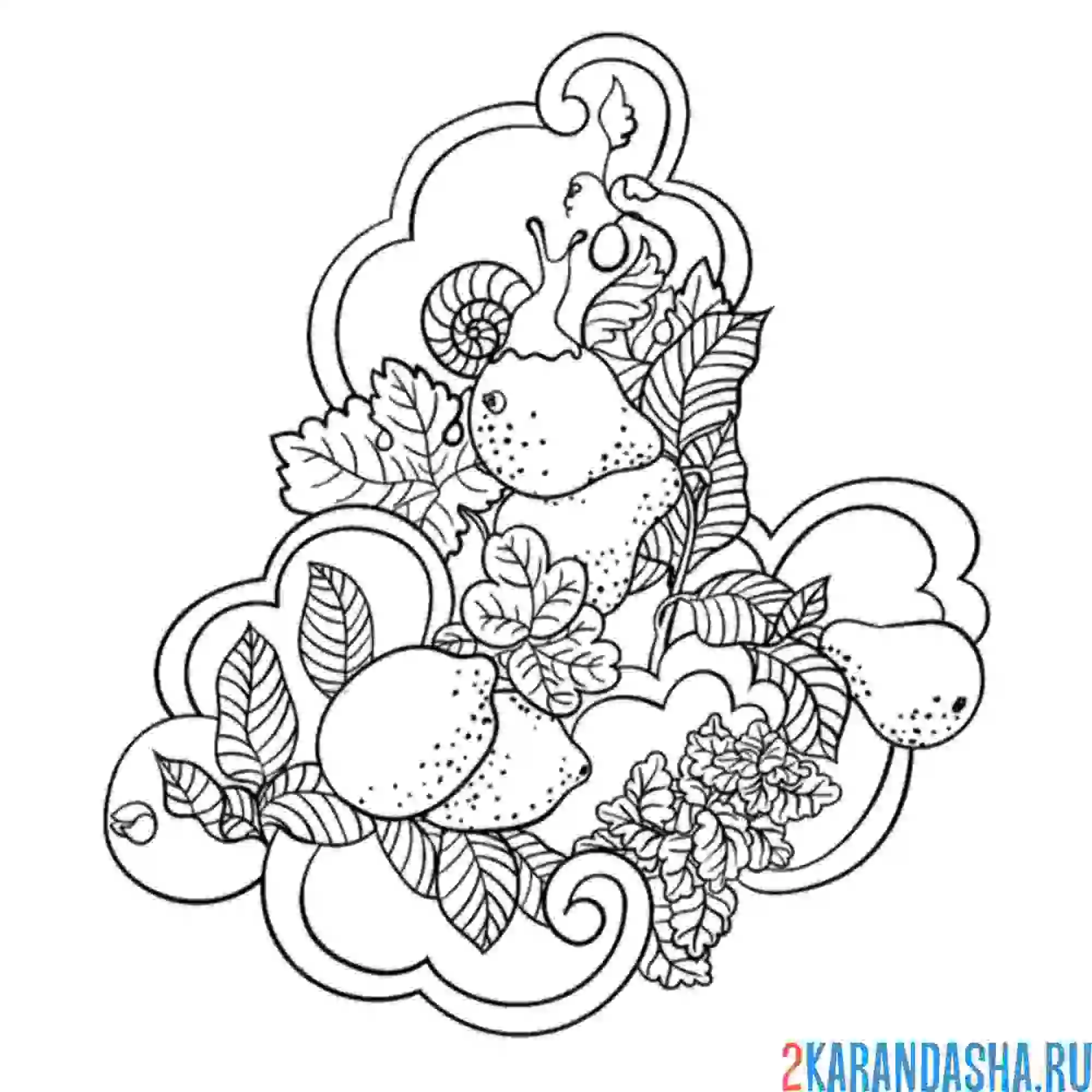 Раскраска лимонный набор