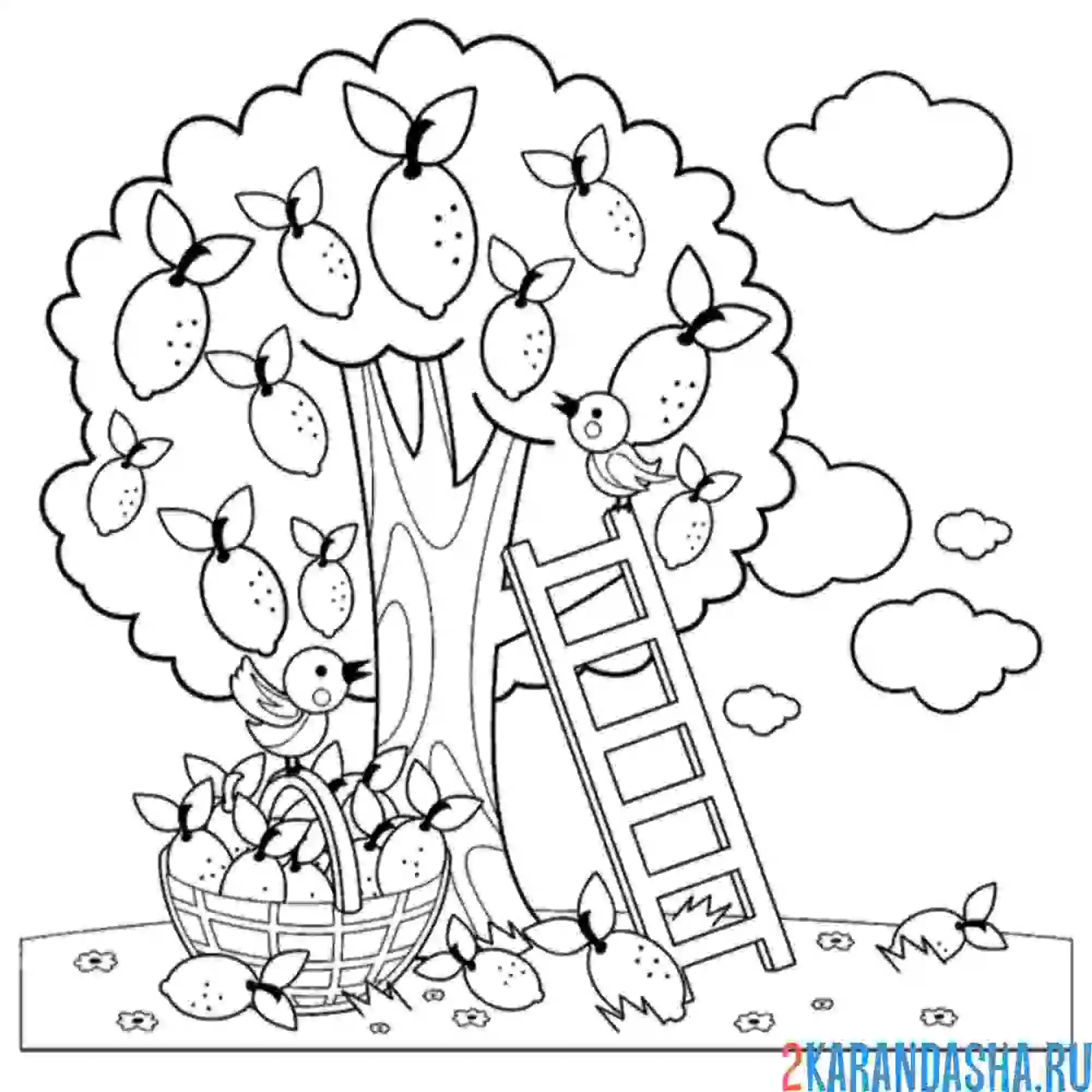 Раскраска дерево с лимоном