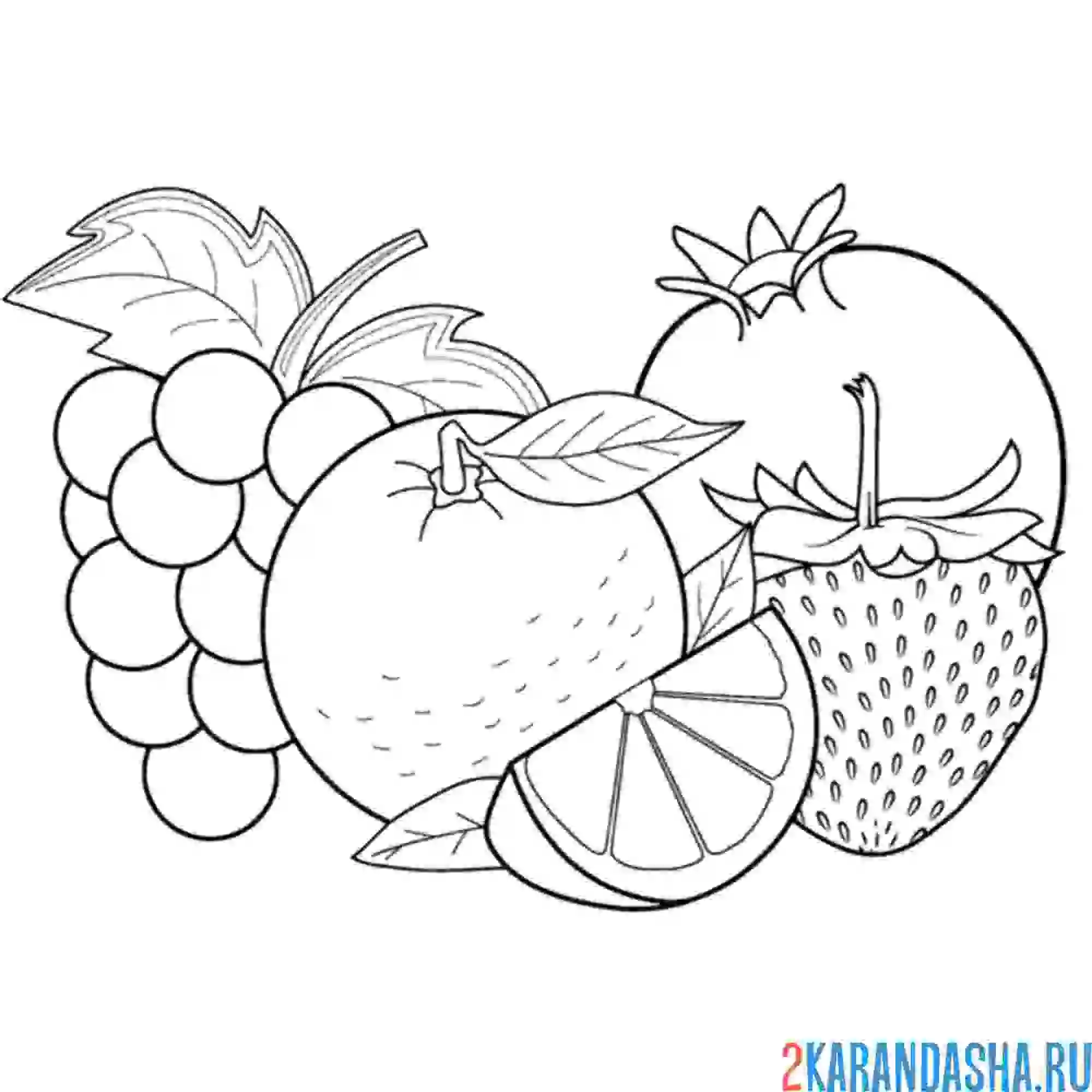 Раскраска фрукты гранат, апельсин, виноград