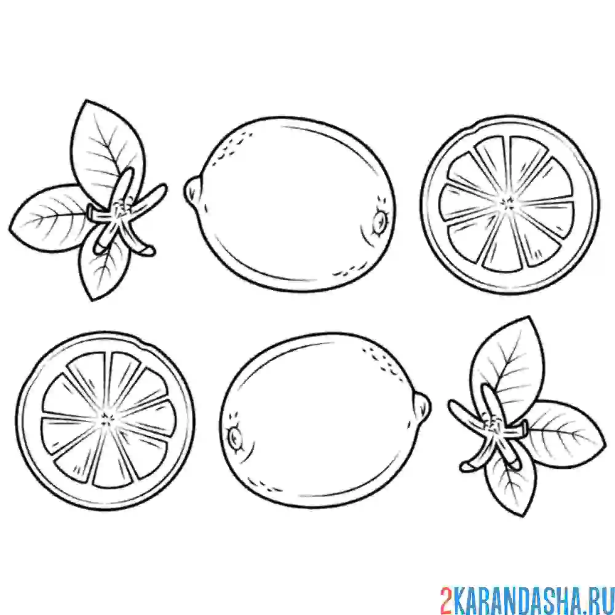 Раскраска лимоны