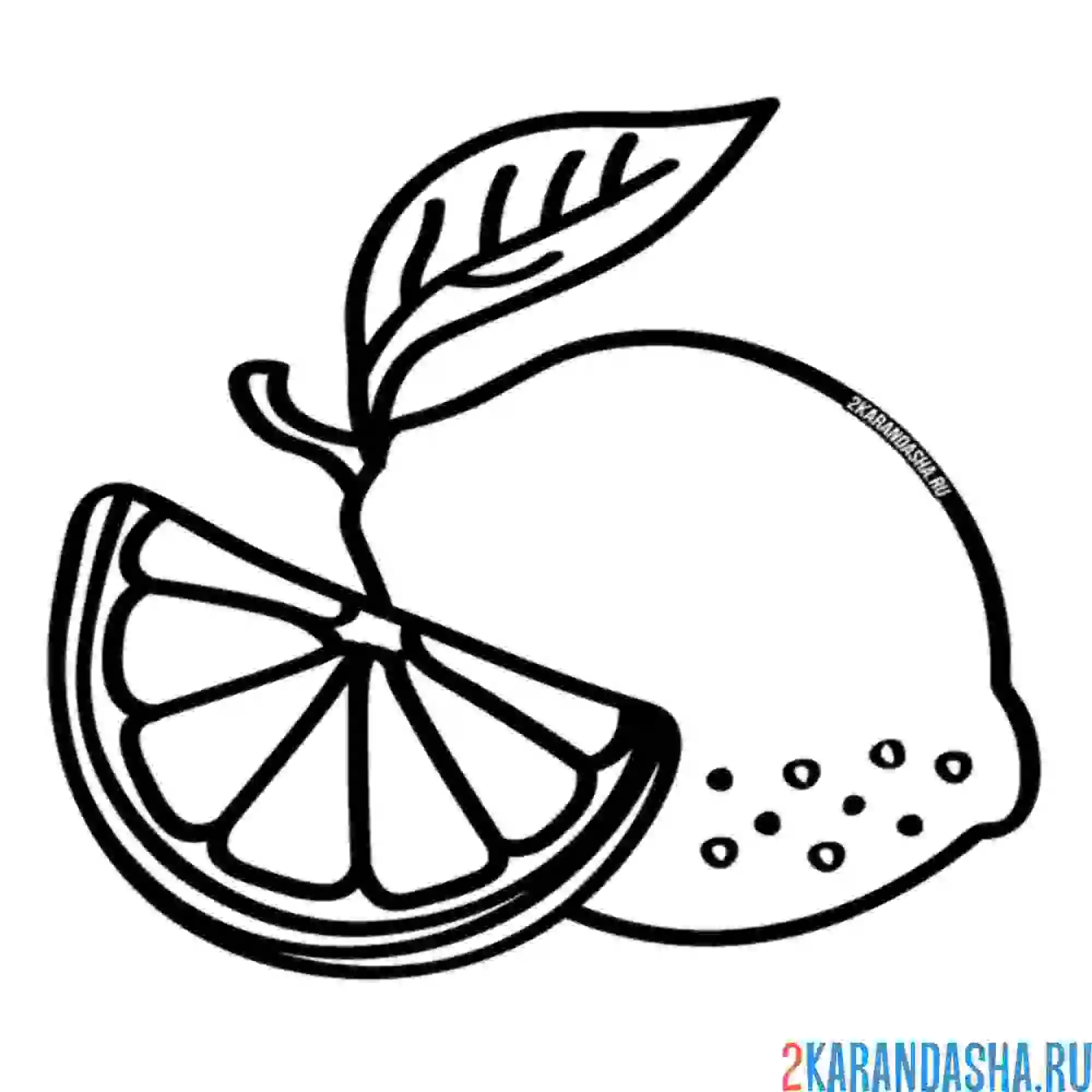 Раскраска целый лимон и долька лимона