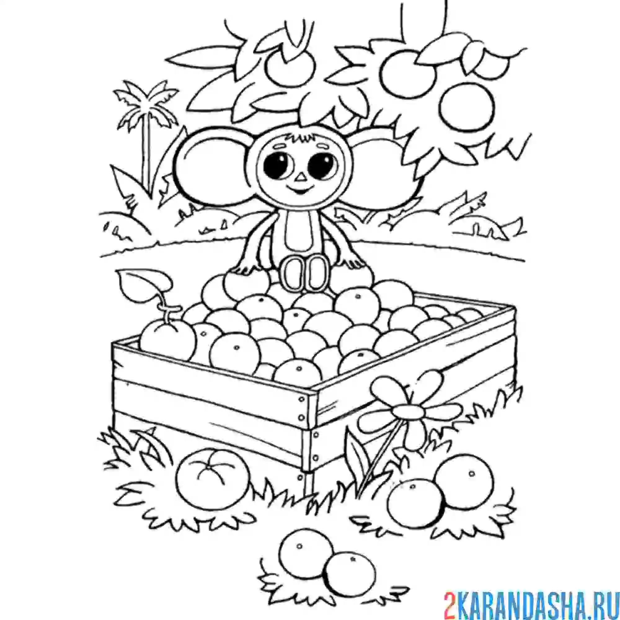 Раскраска чебурашка в апельсинах