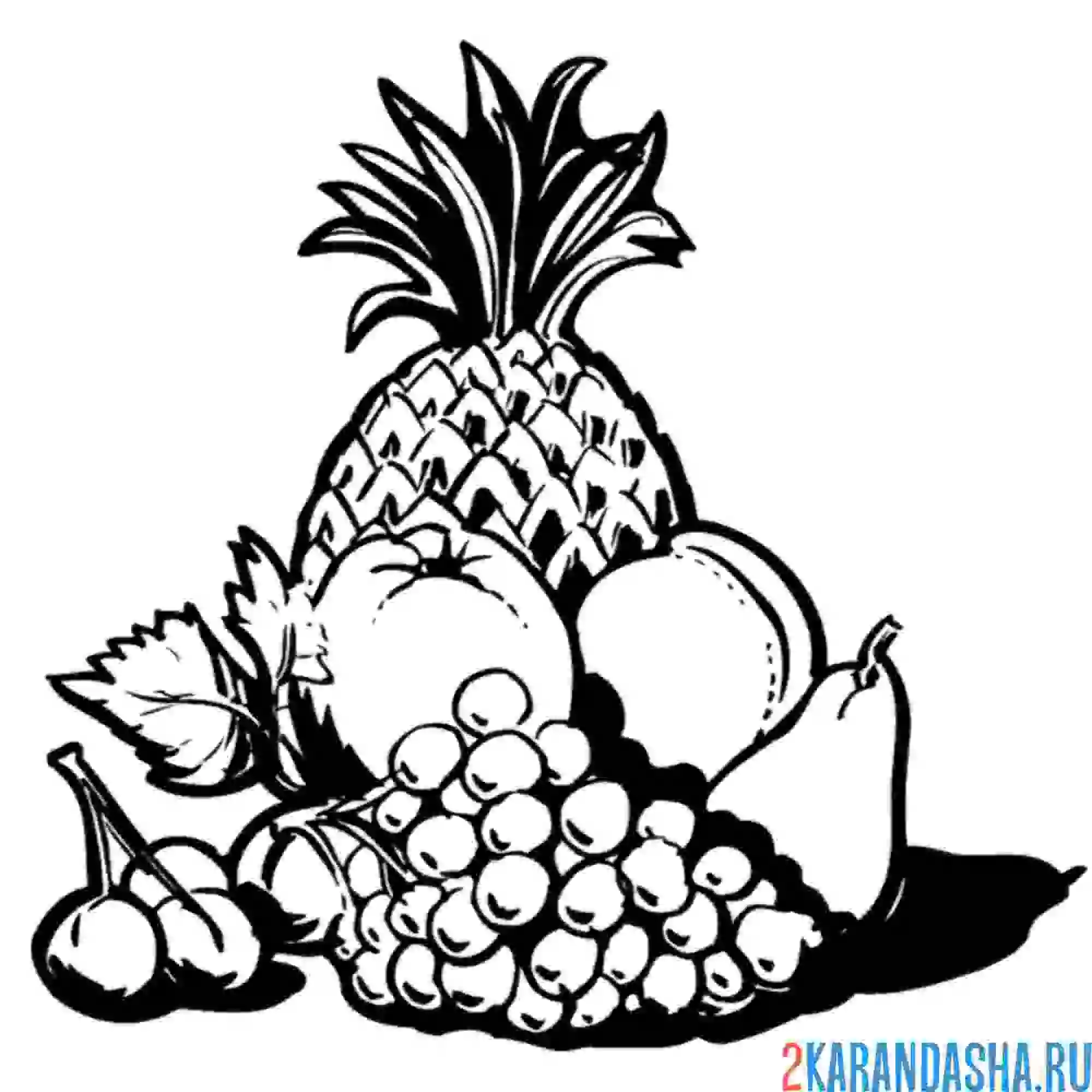 Раскраска натюрморт ананас и фрукты
