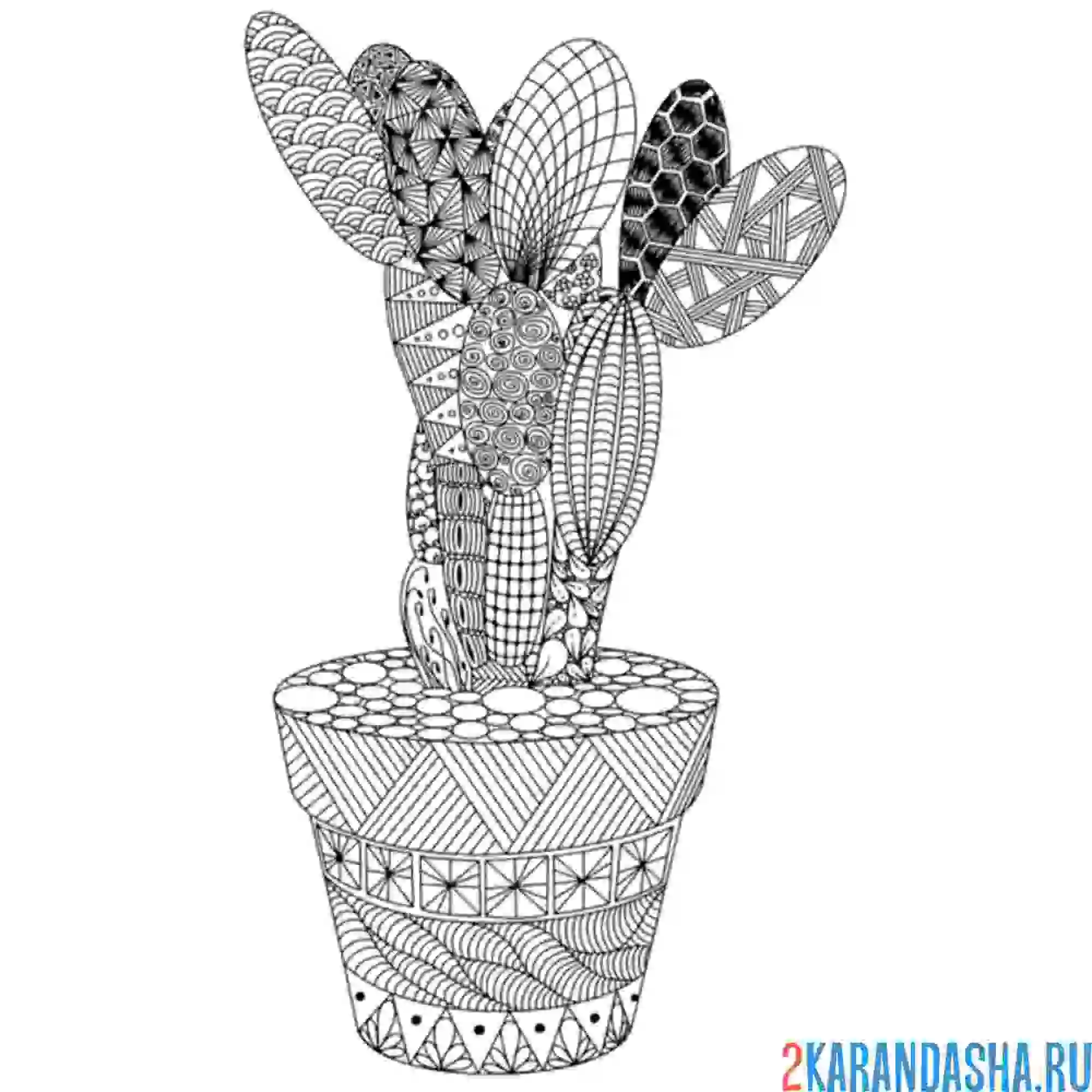 Раскраска кактус в вазе натюрморт