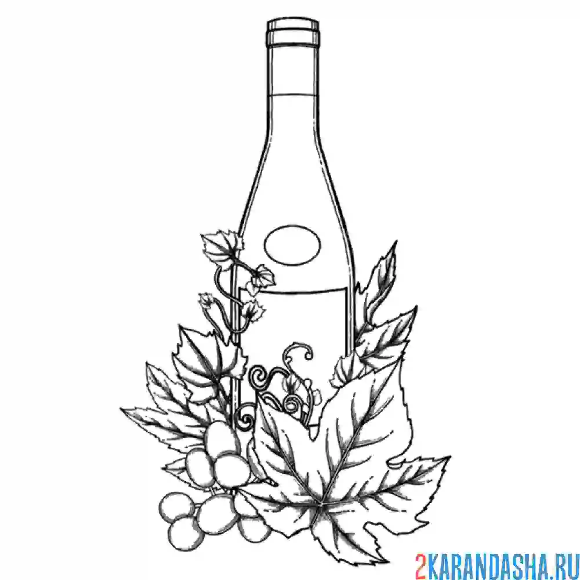 Раскраска бутылка вина