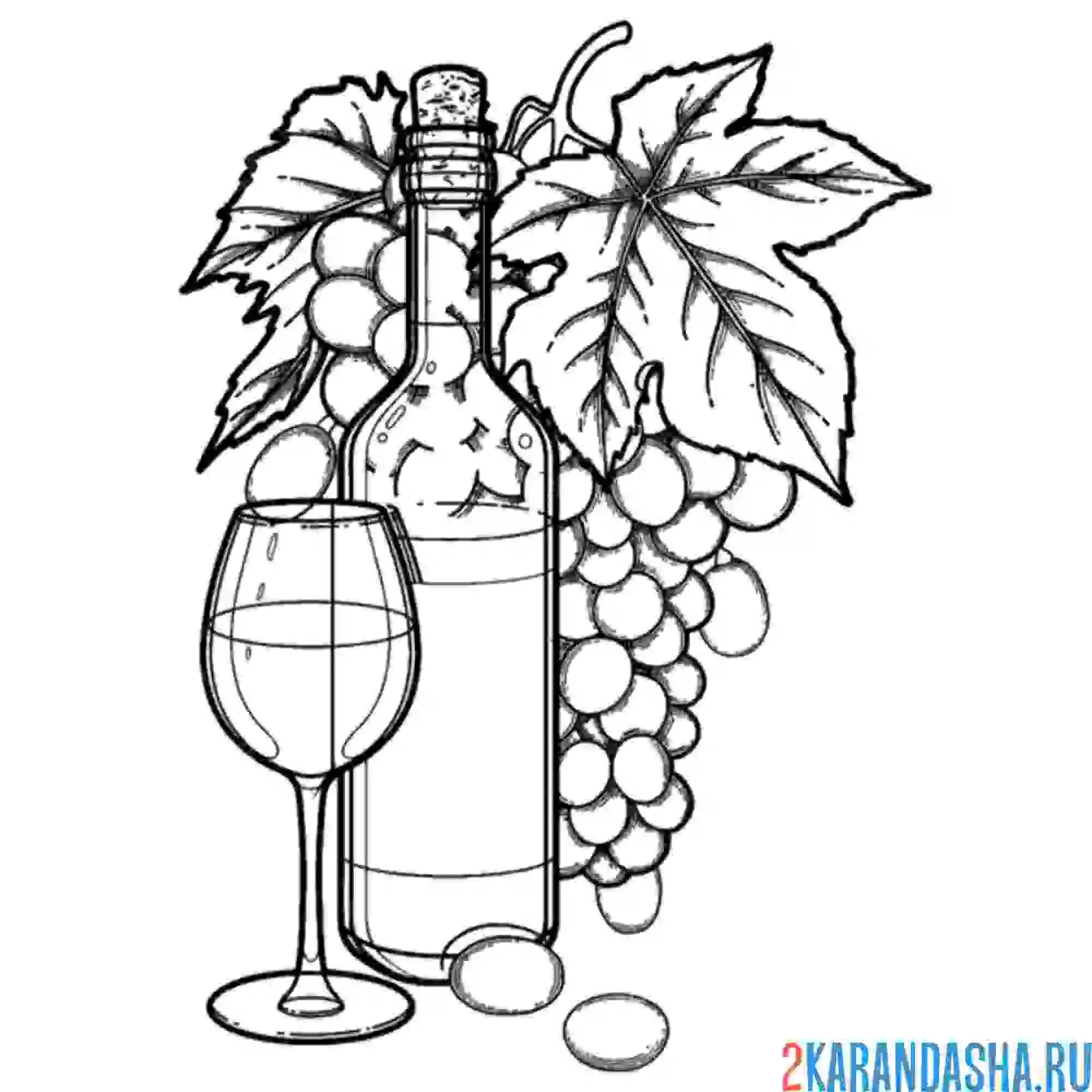 Раскраска винный натюрморт с бокалом