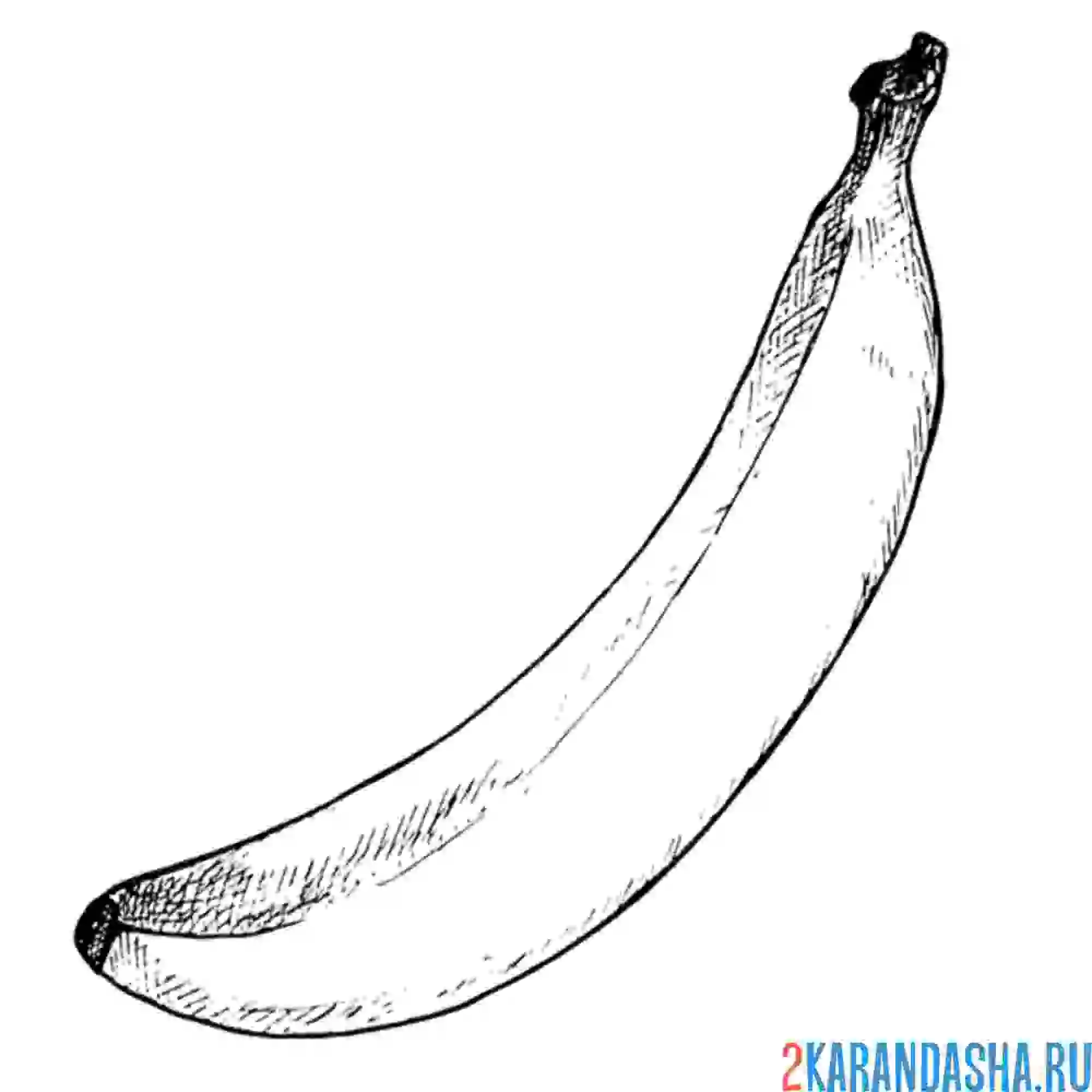 Раскраска одинокий банан