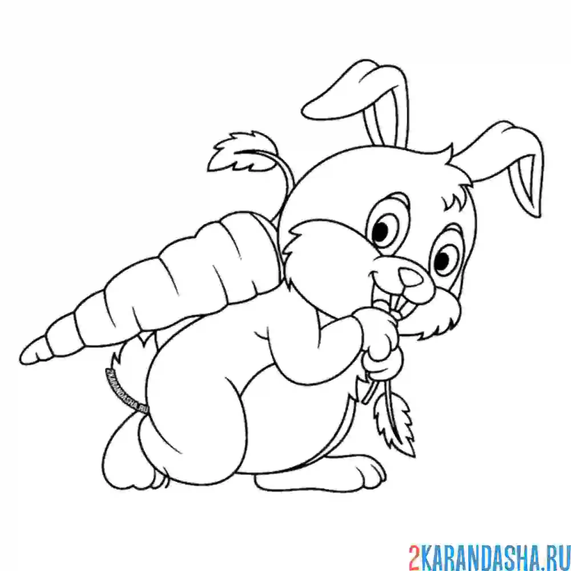 Раскраска зайка тащит морковку