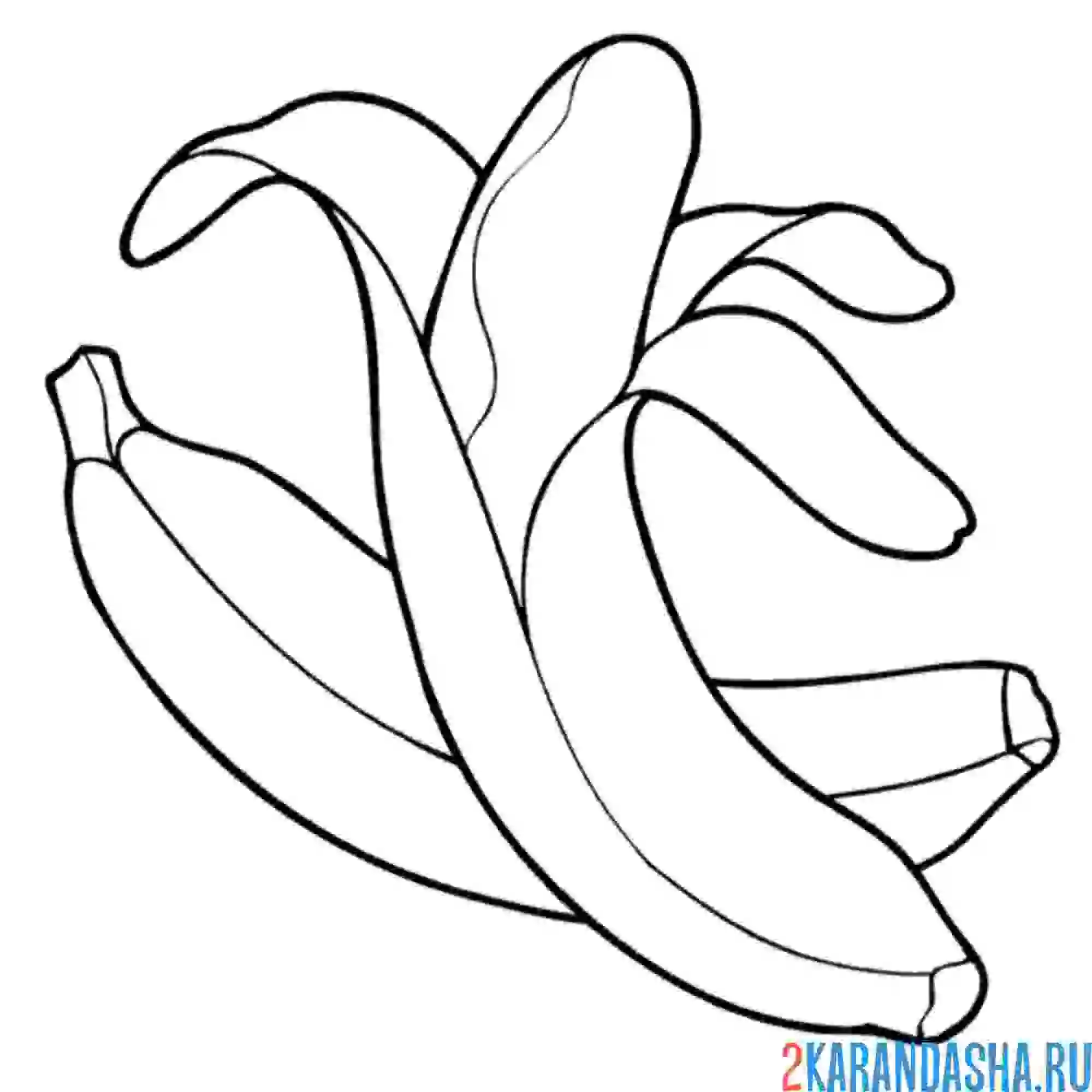 Раскраска два банана