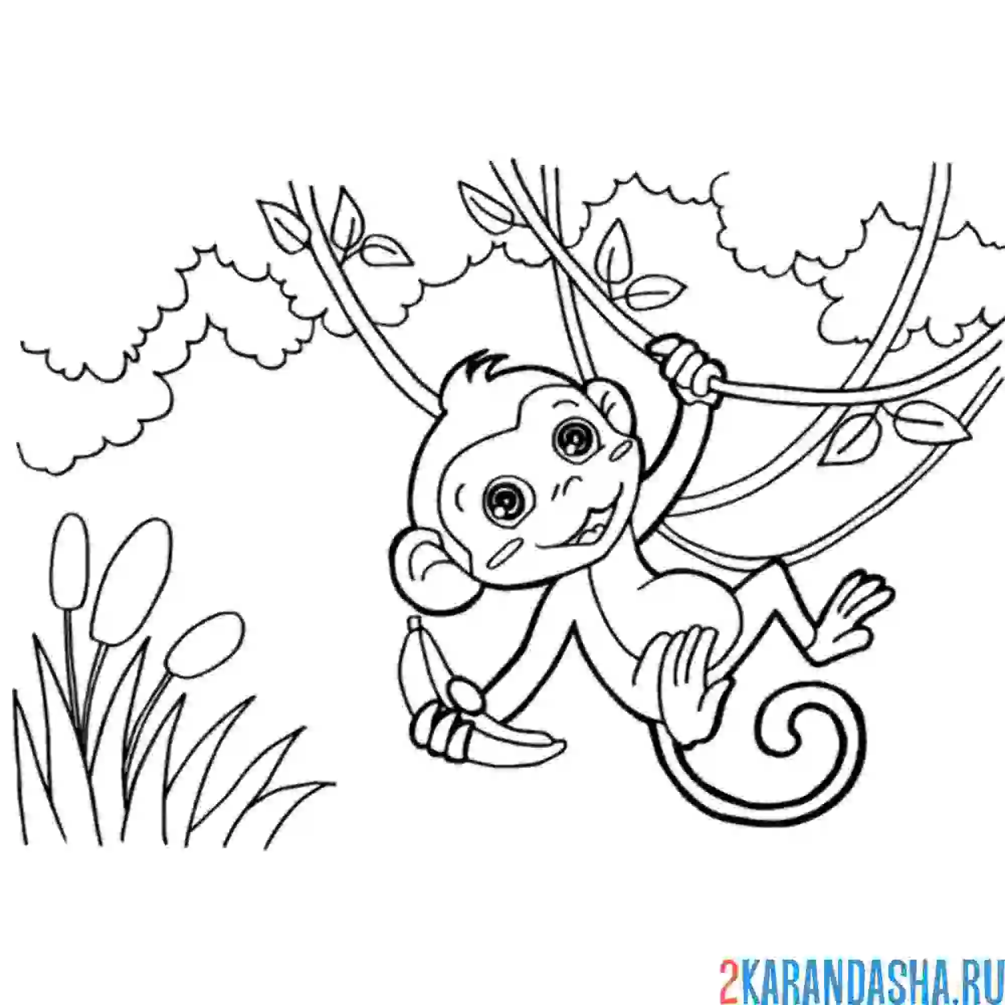 Раскраска обезьяна на дереве