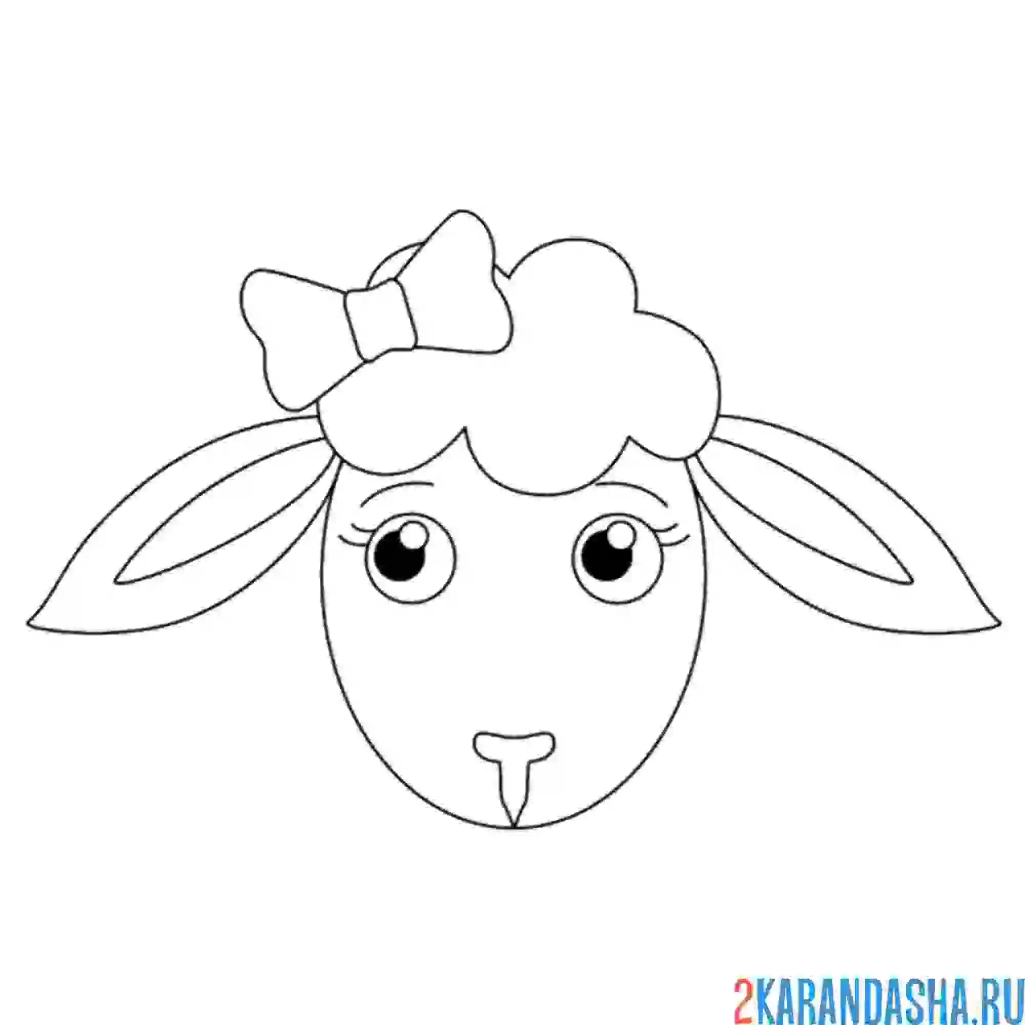 Раскраска бантик на барашке