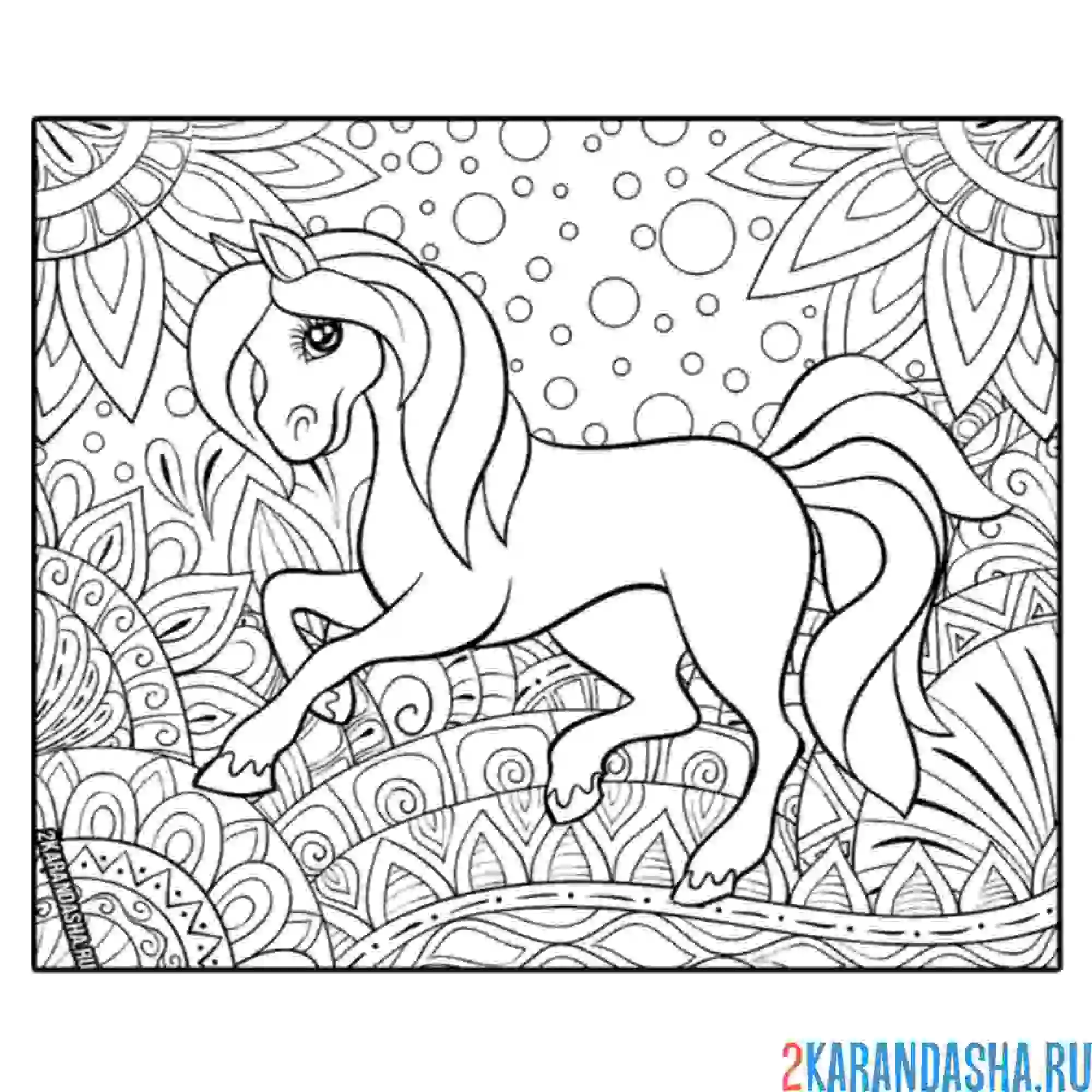 Раскраска лошадь в поле