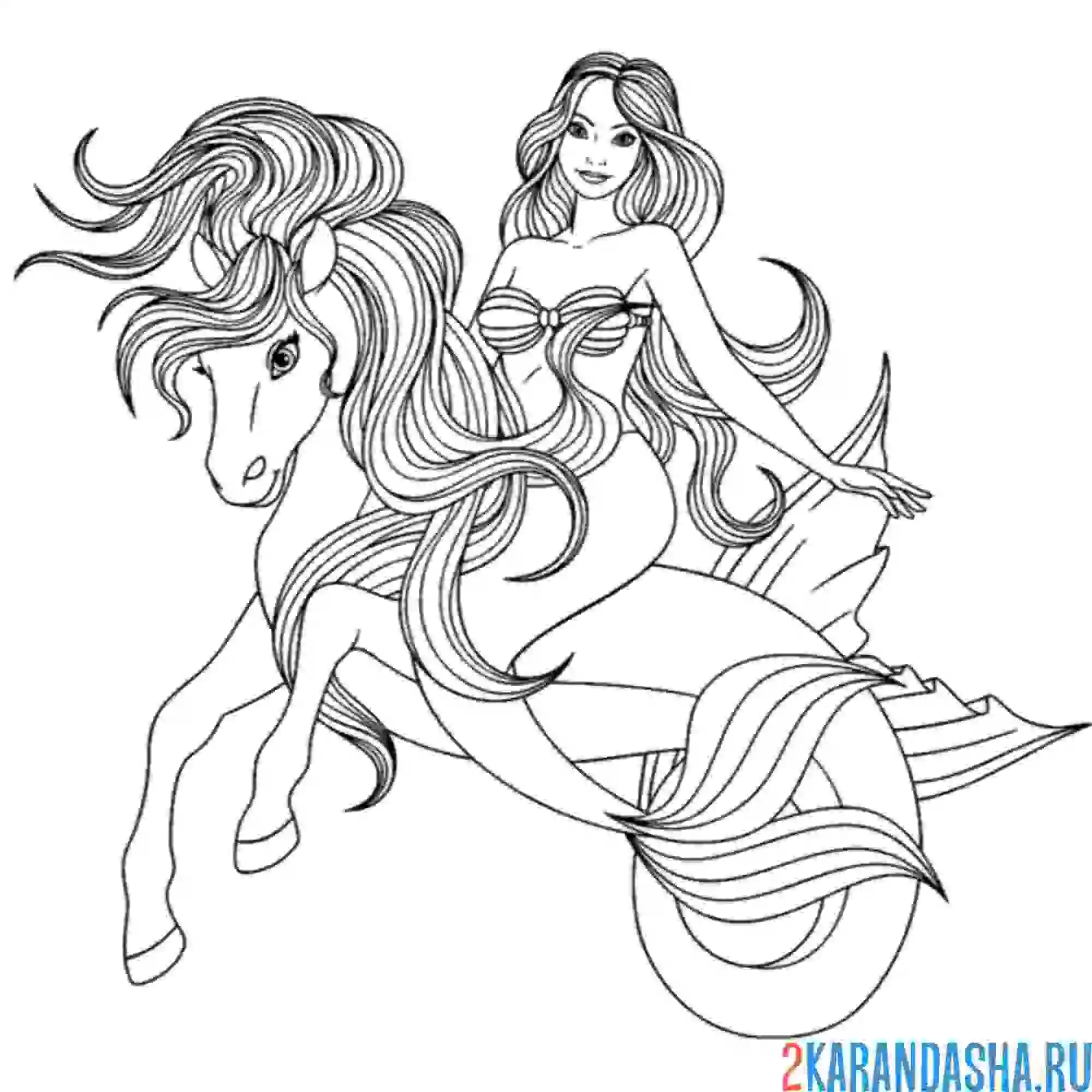 Раскраска лошадь русалка