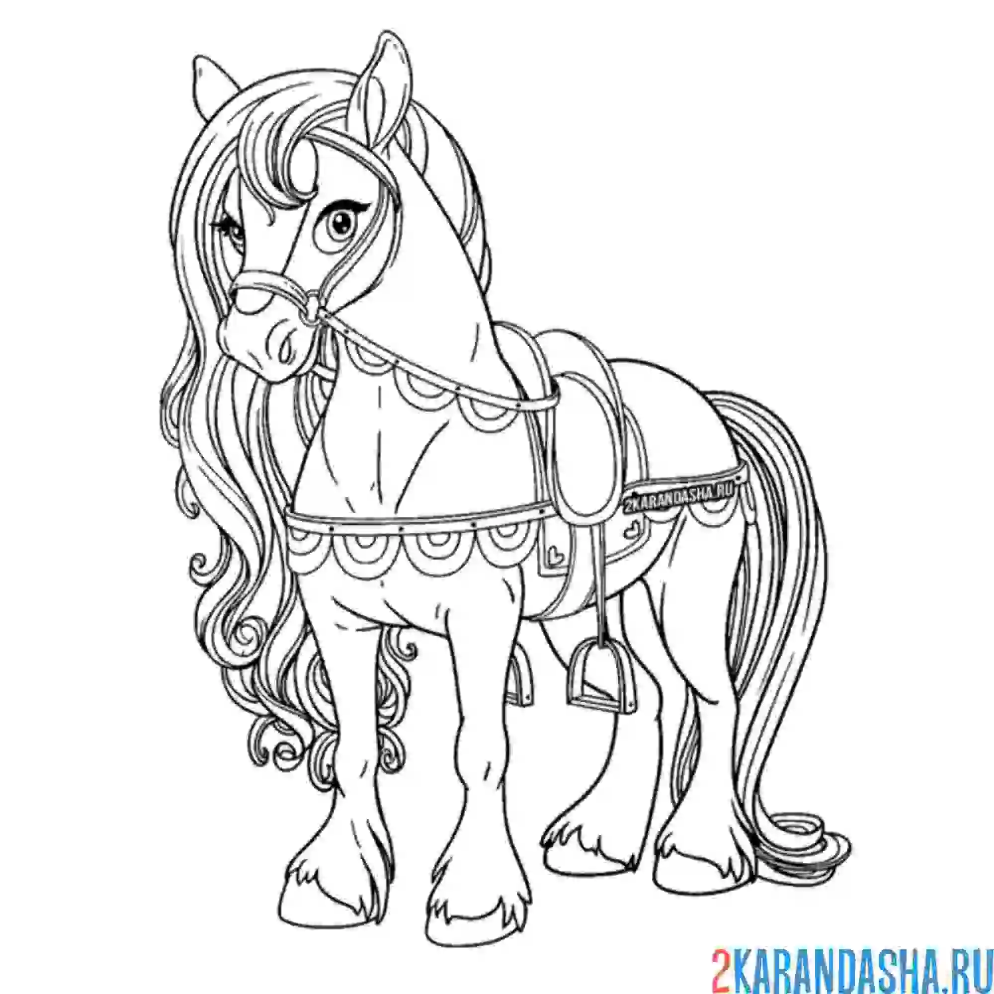 Раскраска красивая лошадка с гривой