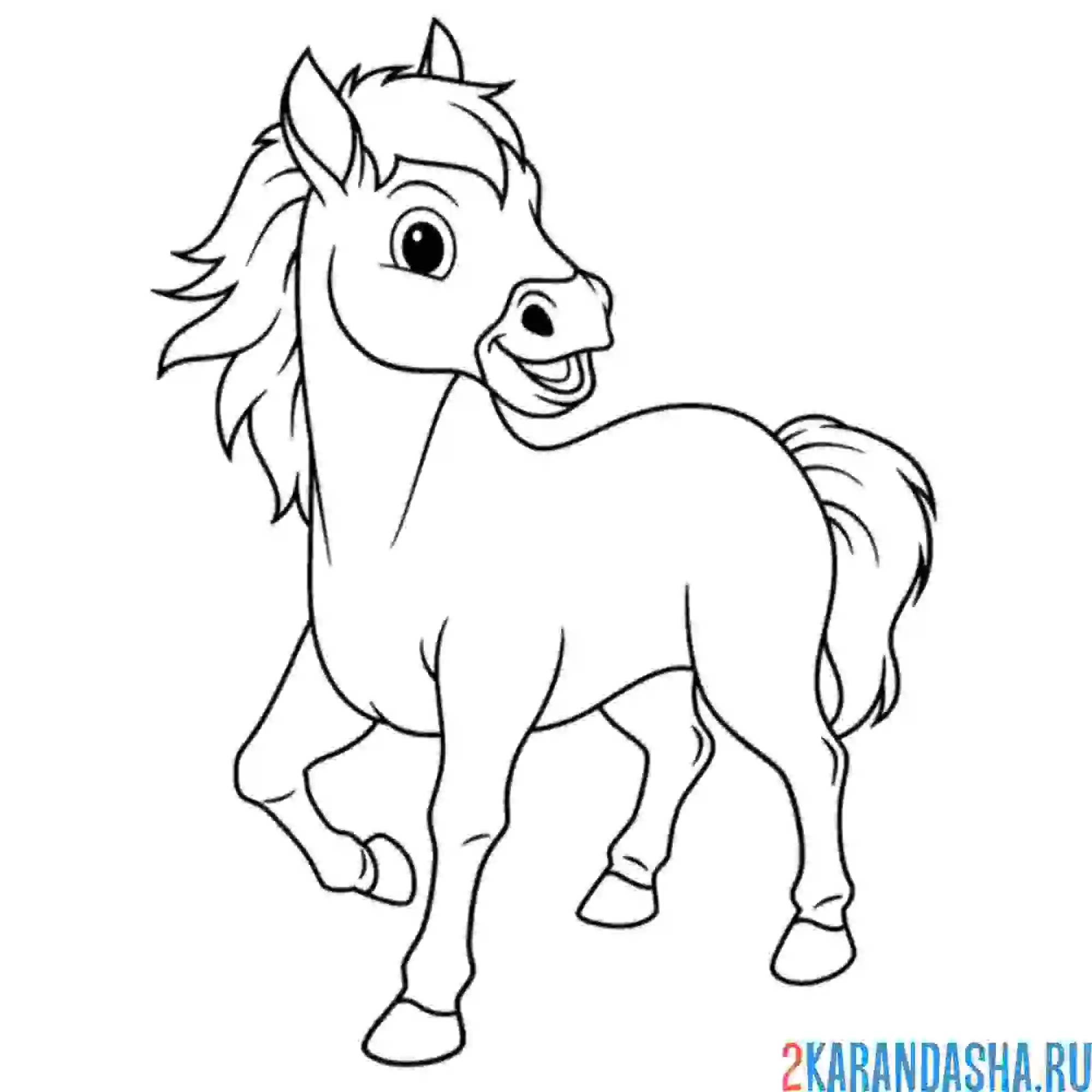 Раскраска молодой конь лошадь
