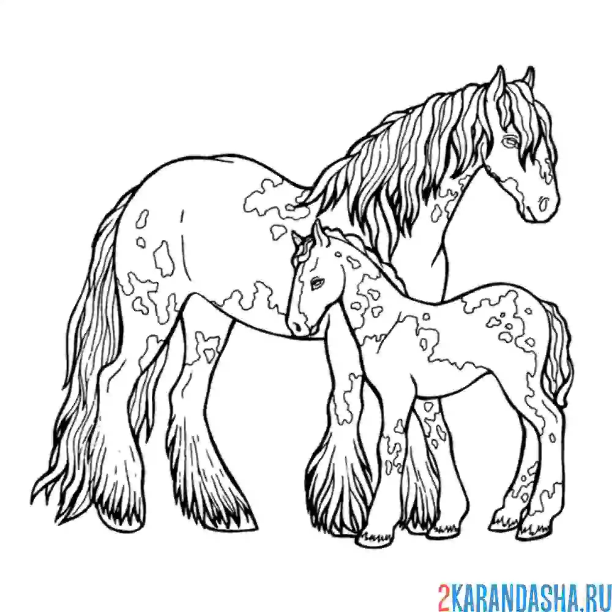 Раскраска мама лошадь и жеребенок
