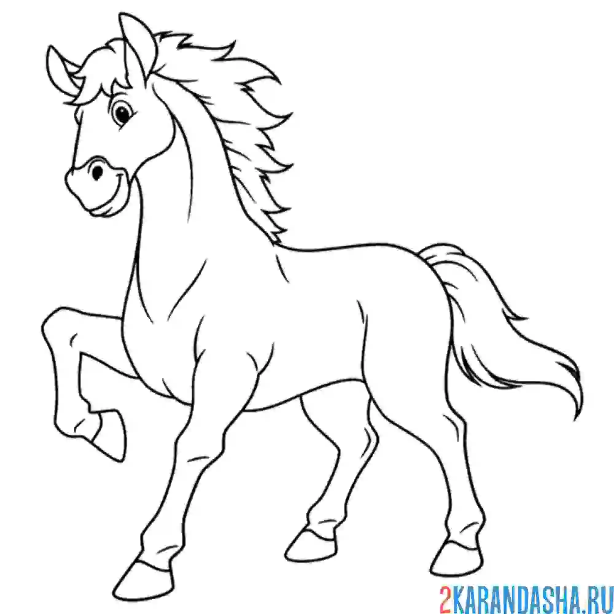 Раскраска юная лошадка