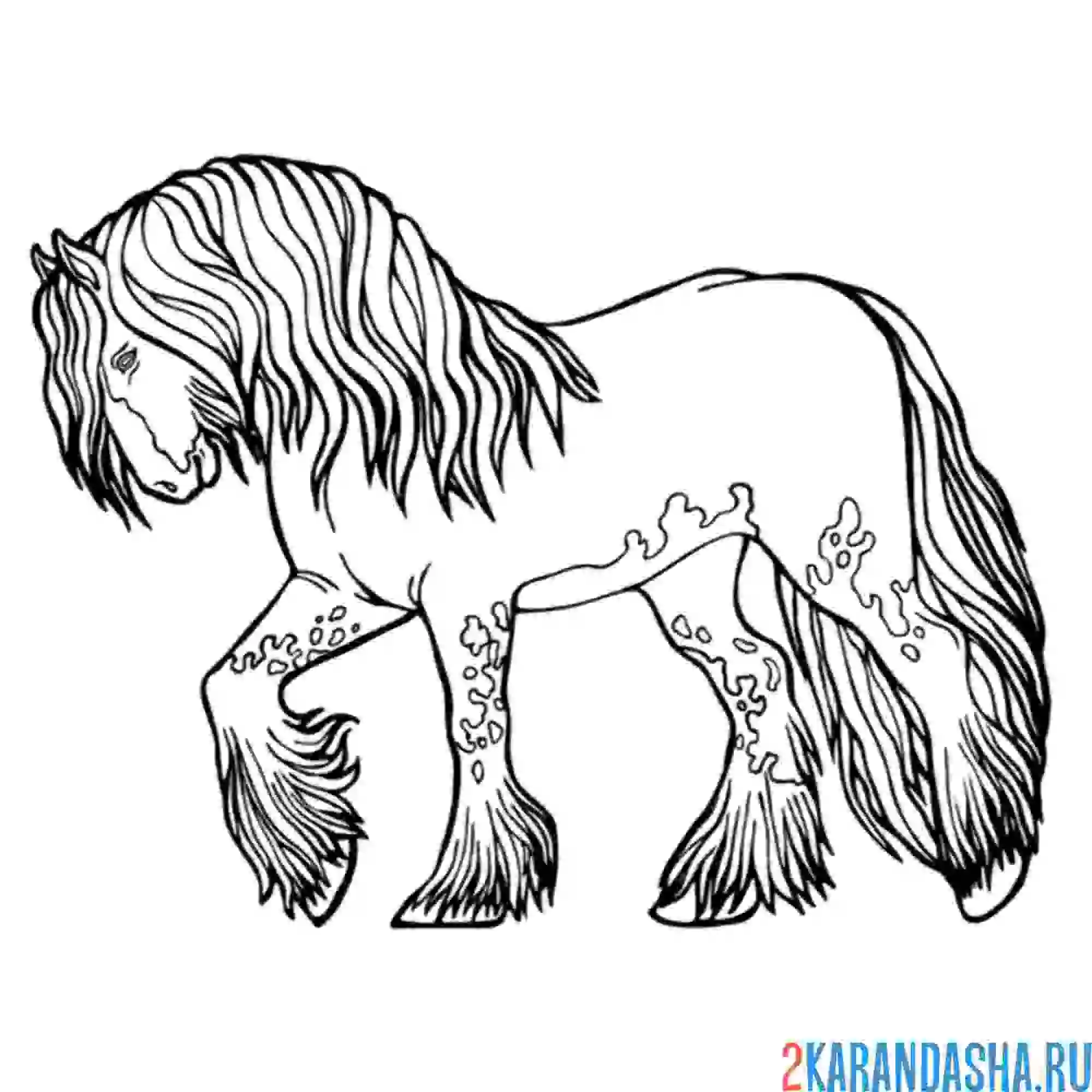 Раскраска красивый жеребец