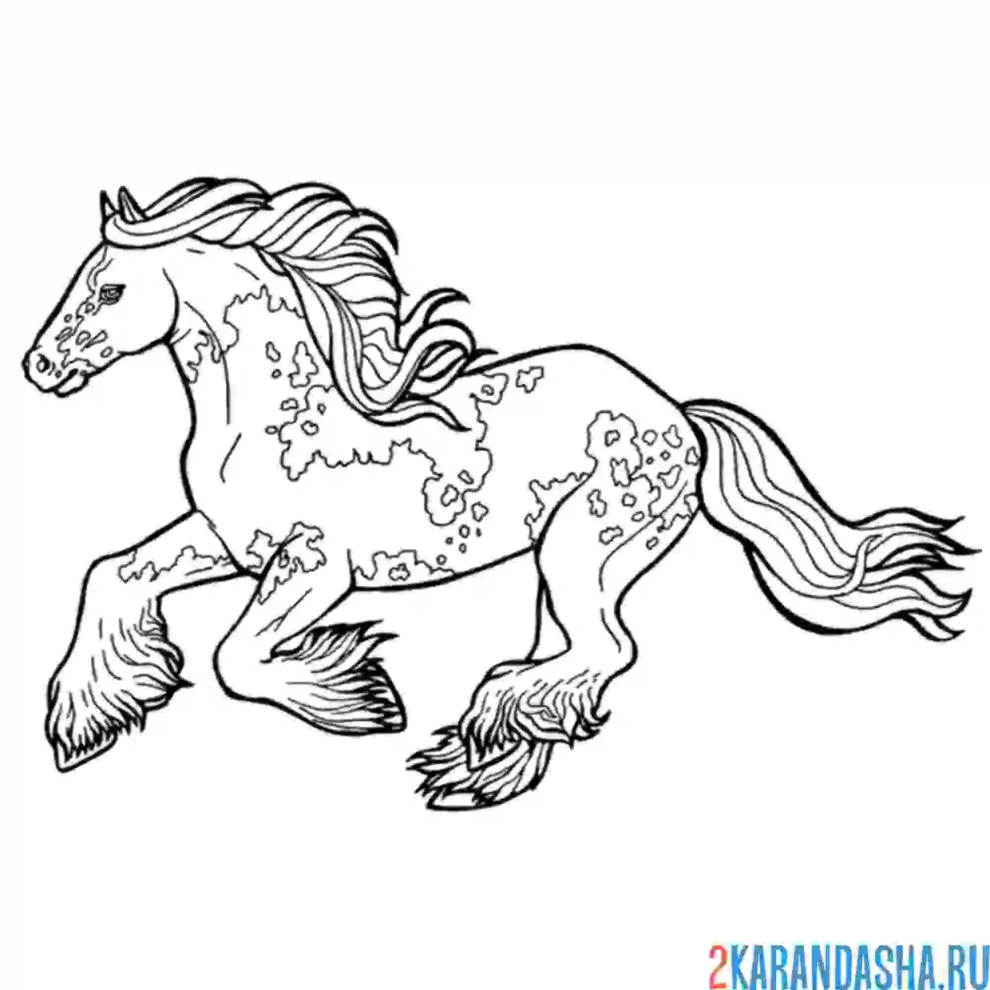 Раскраска скачет конь