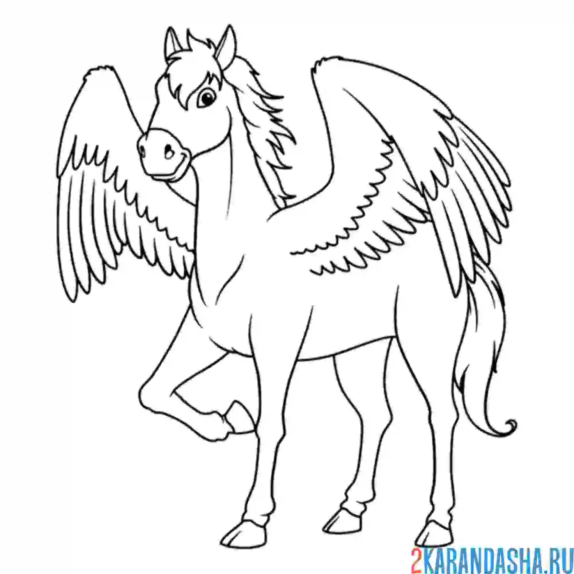Раскраска пегас