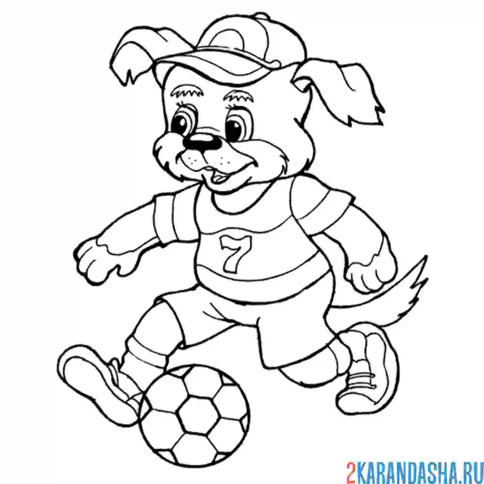Раскраска собака футболист