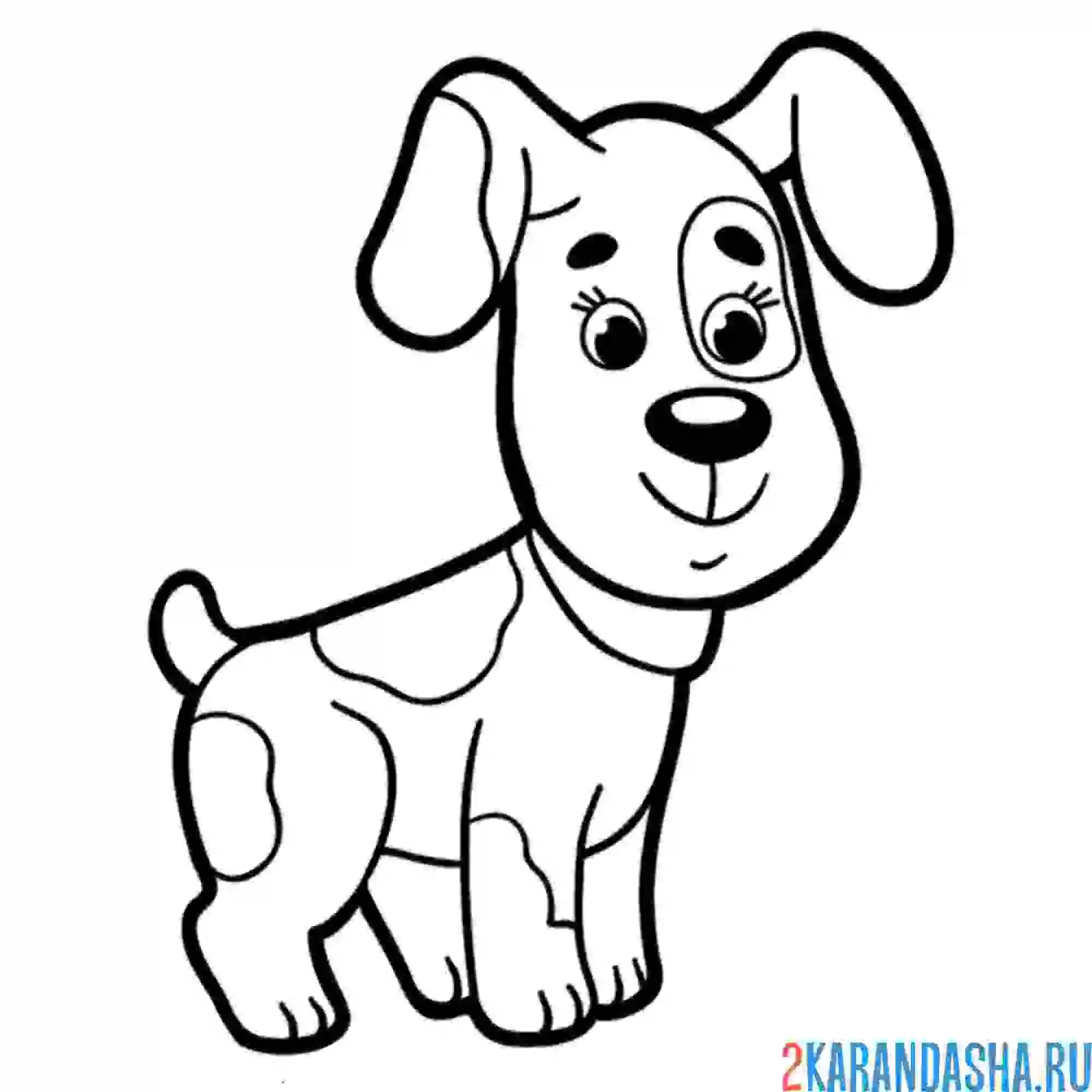 Раскраска собачка улыбается