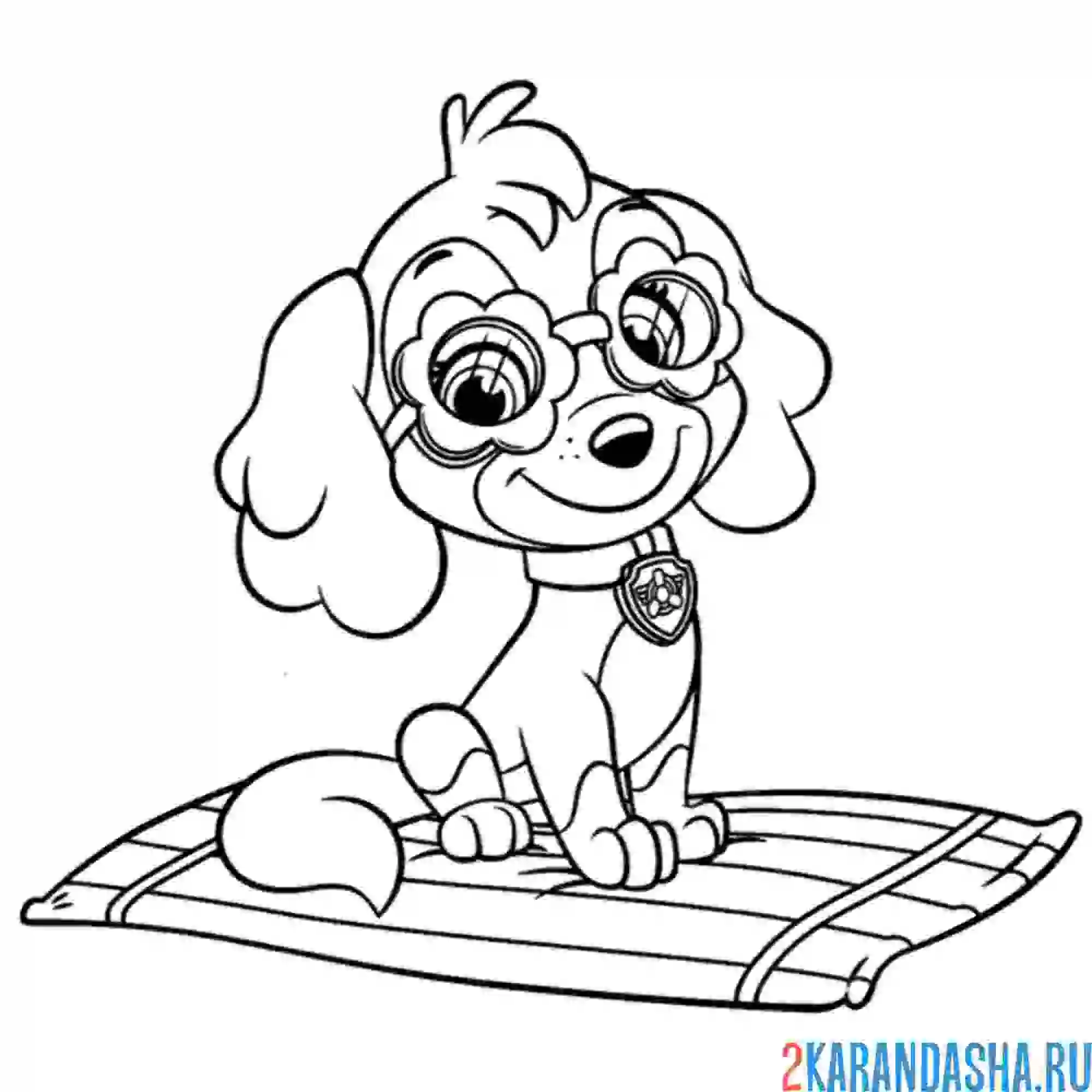 Раскраска скай сидит на коврике