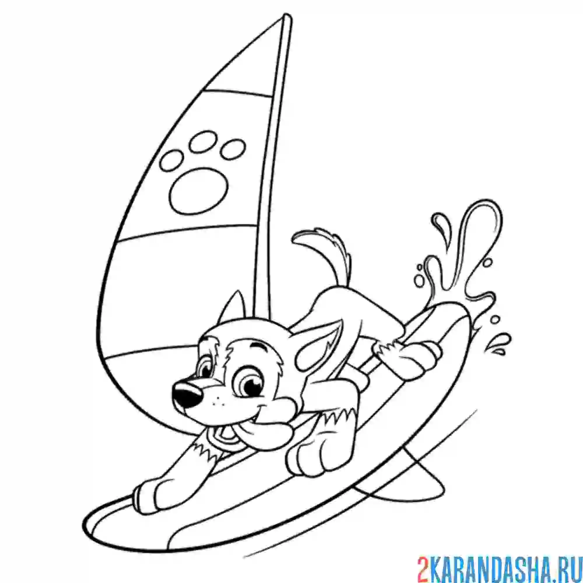 Раскраска гонщик виндсерфинг