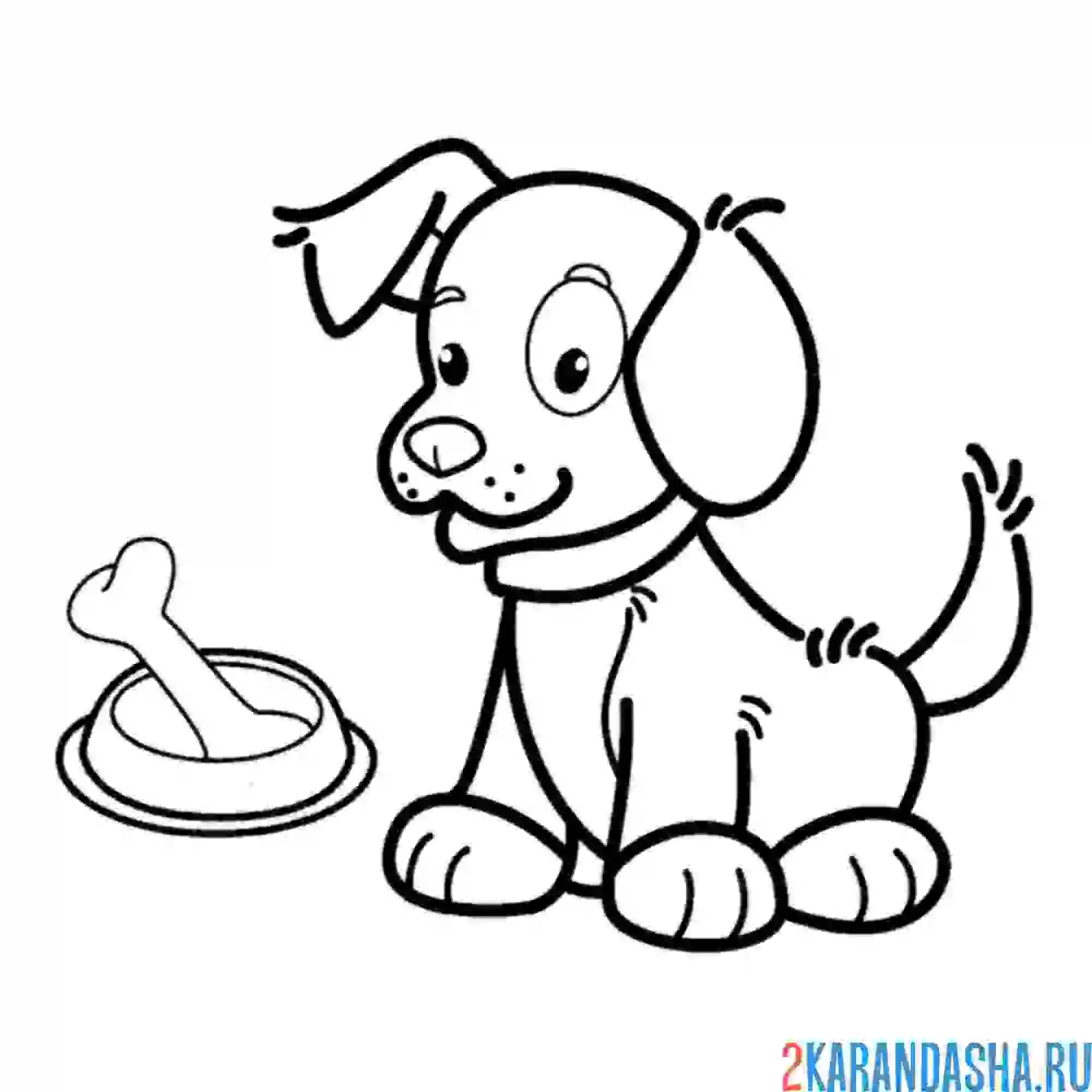 Раскраска собака и миска с косточкой
